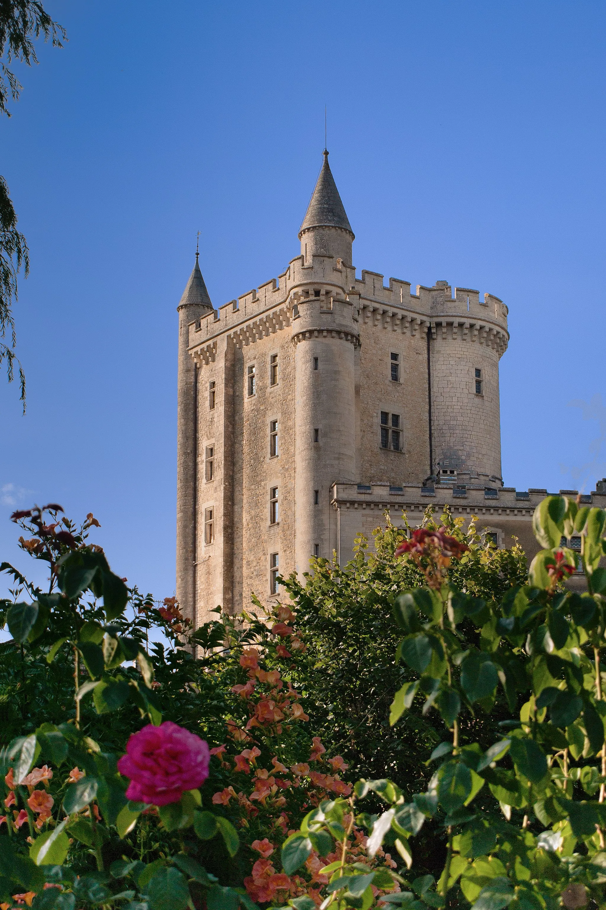 Photo showing: Dungeon of the castle of morthemer