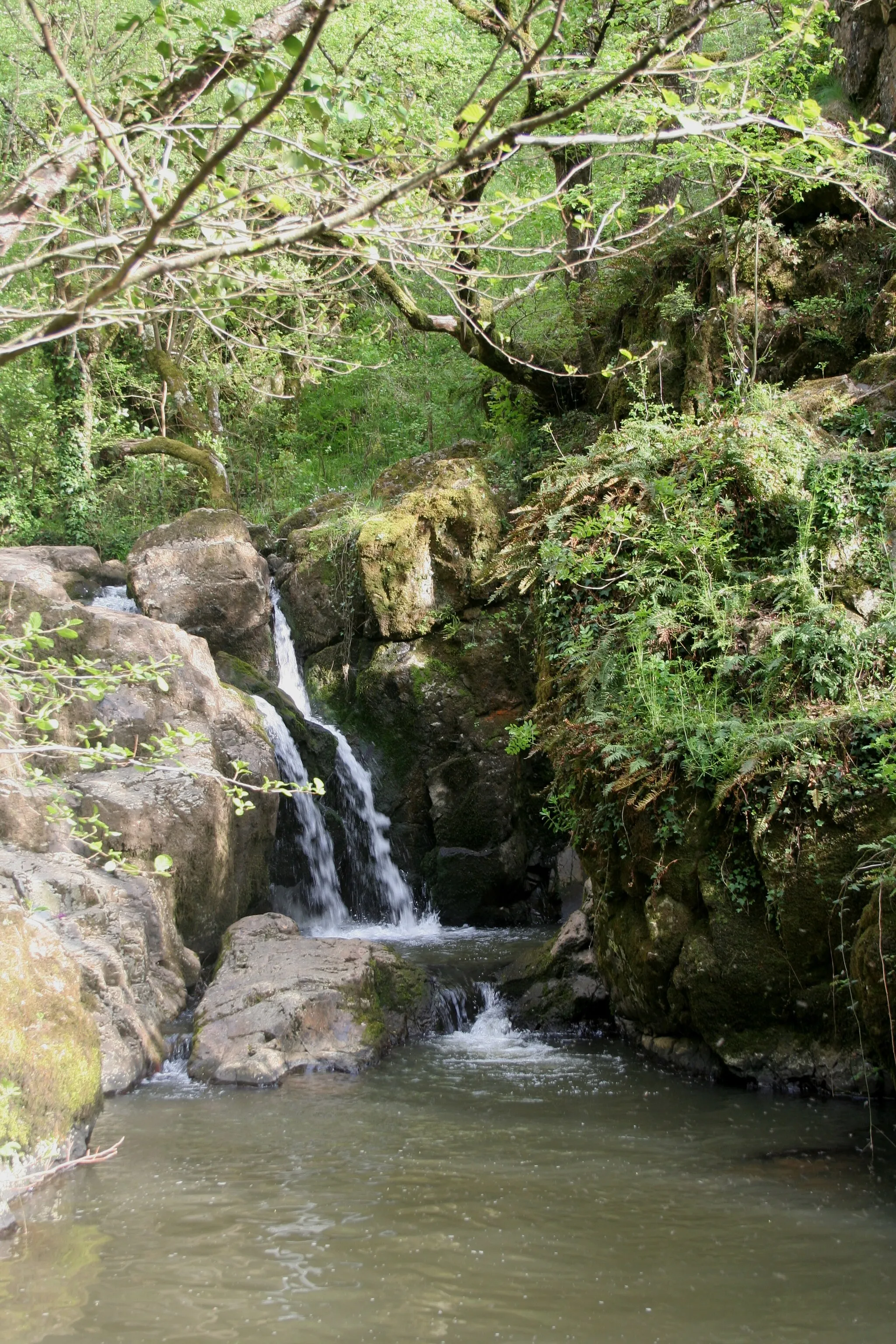 Photo showing: cascade du Puits d'enfer, Exireuil, 79, France