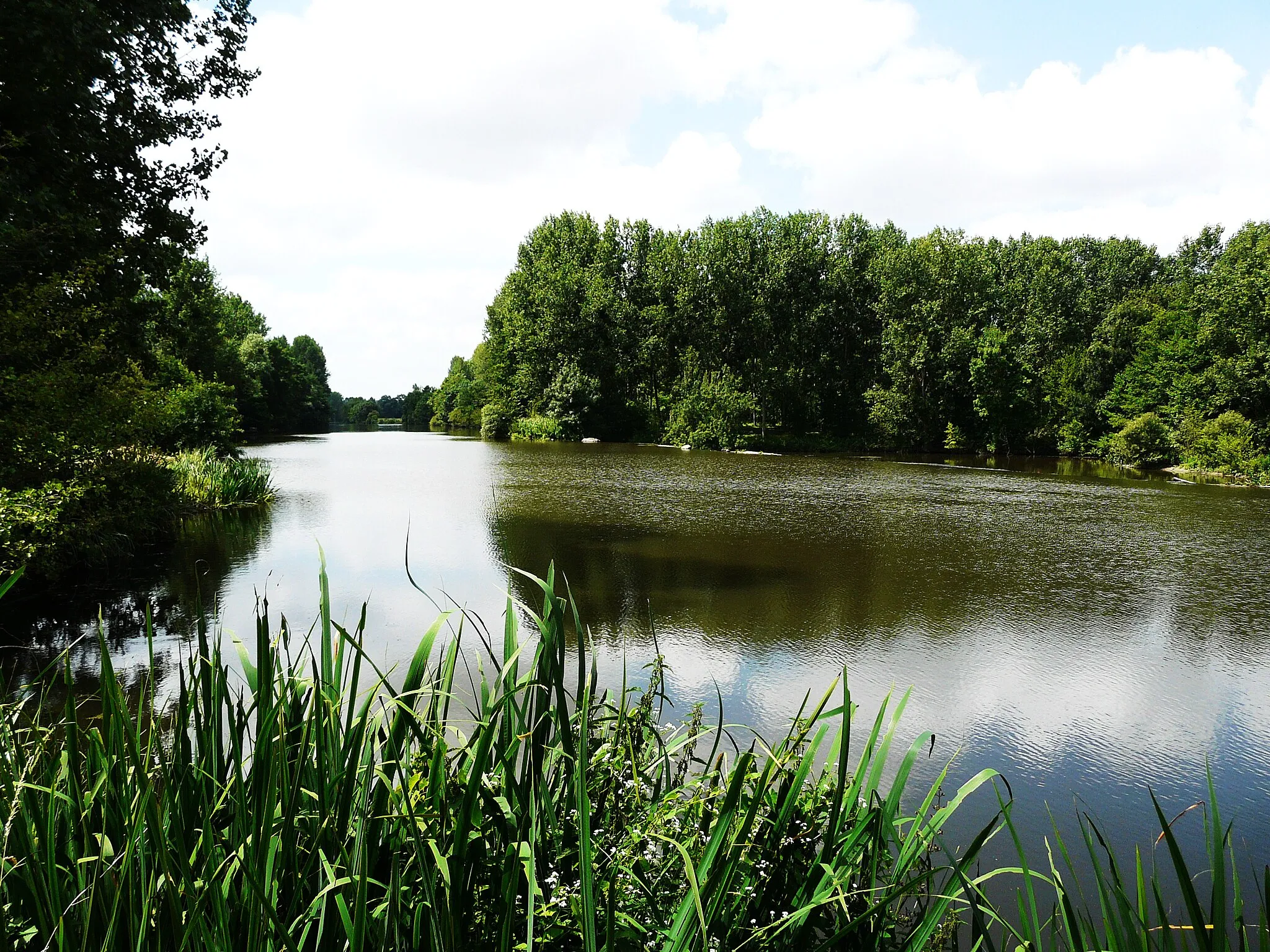 Photo showing: Le Thouet à Sainte-Verge, au moulin de Blanchard