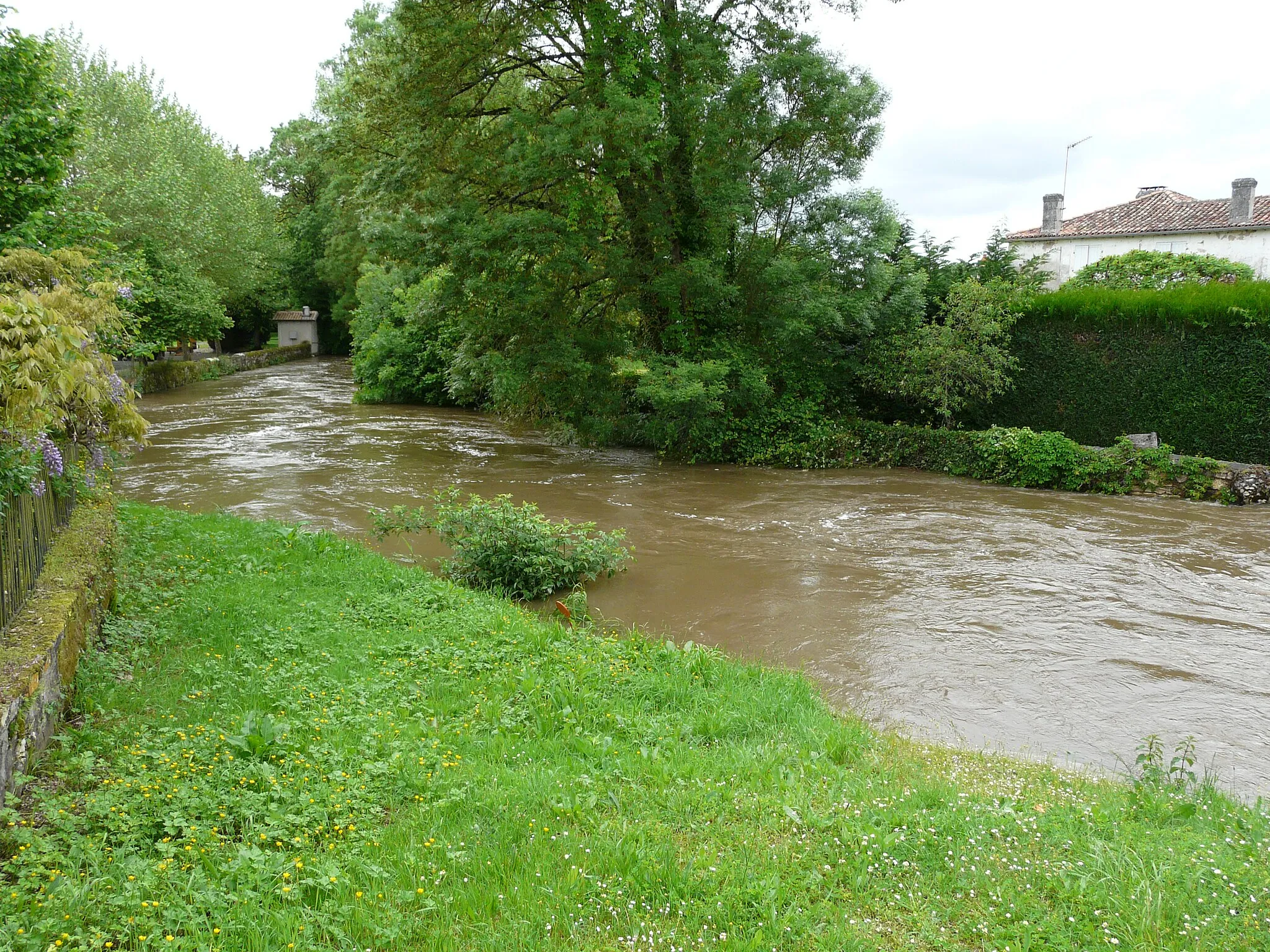 Photo showing: La rivière le Bandiat en aval du pont de la route départementale 16, Marthon, Charente, France