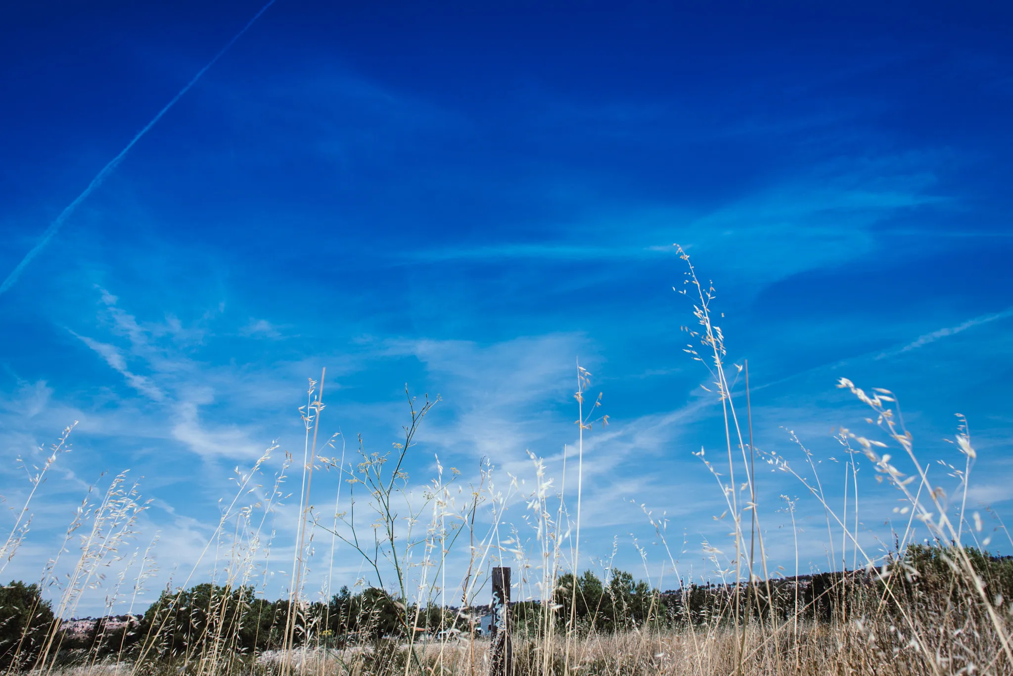 Photo showing: 500px provided description: Perfection Is In Nature ?????????? [#sky ,#contrast ,#composition ,#Nature ,#France ,#Photography ,#Blue ,#Photographie ,#Natural light ,#Photographer ,#Sweet ,#Great ,#Photographe ,#Provence-alpes-cote-d'azur ,#Amazing pictures ,#Bouche-du-rhone ,#Vitrolle ,#>a]