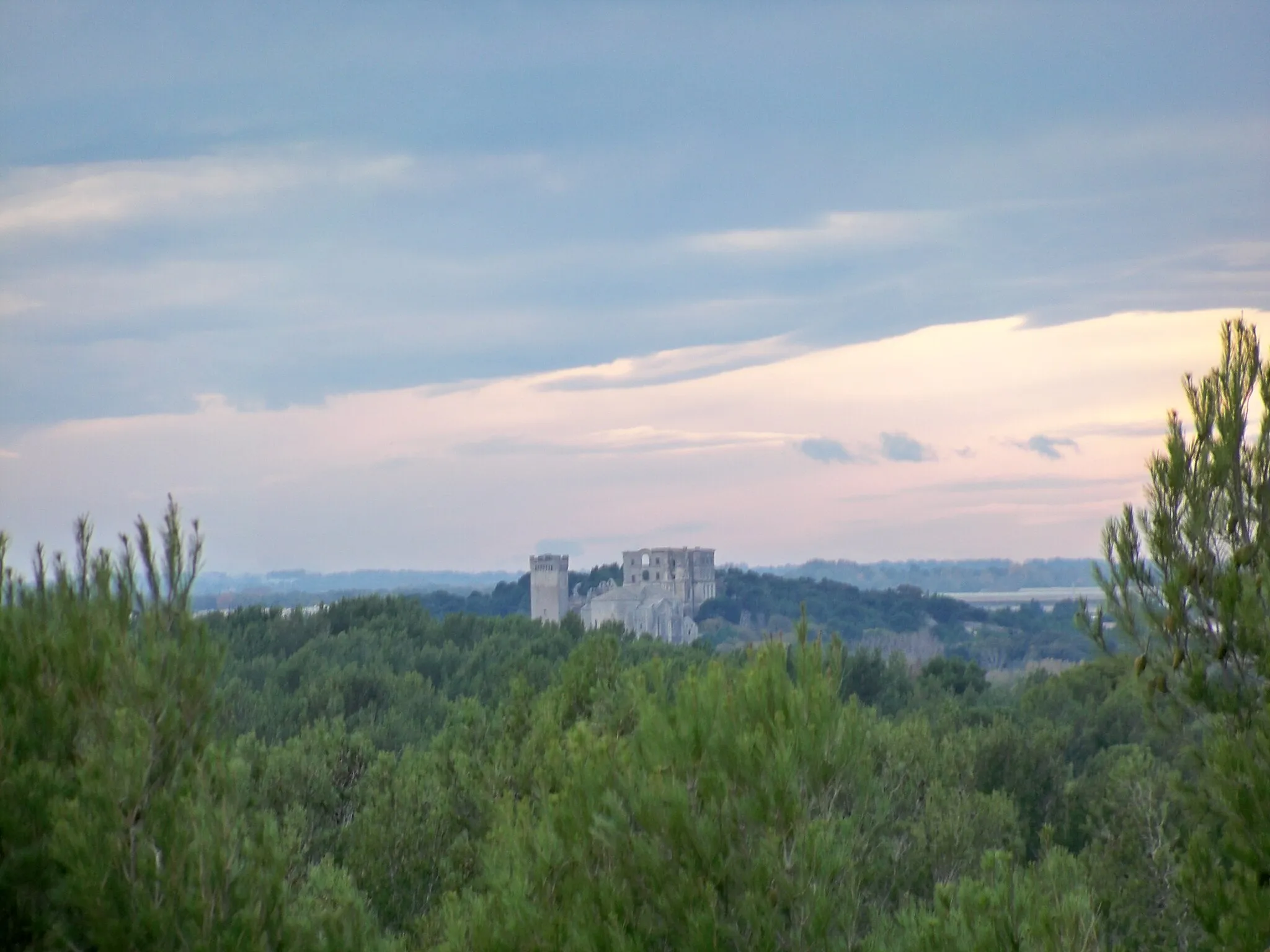 Photo showing: Vue sur l'Abbaye de Montmajour, depuis le moulin "de Daudet", à Fontvieille