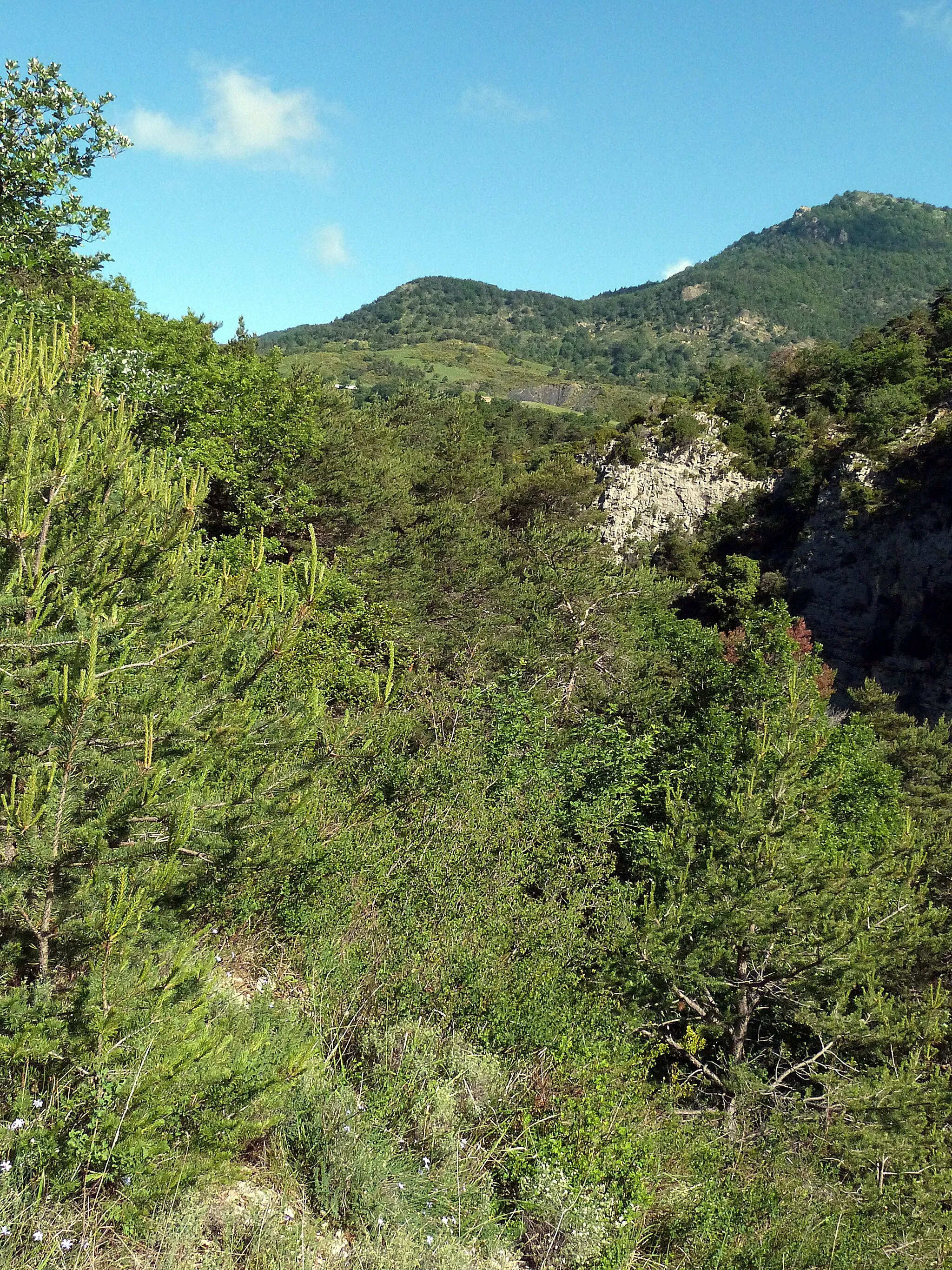 Photo showing: Col de Valouse