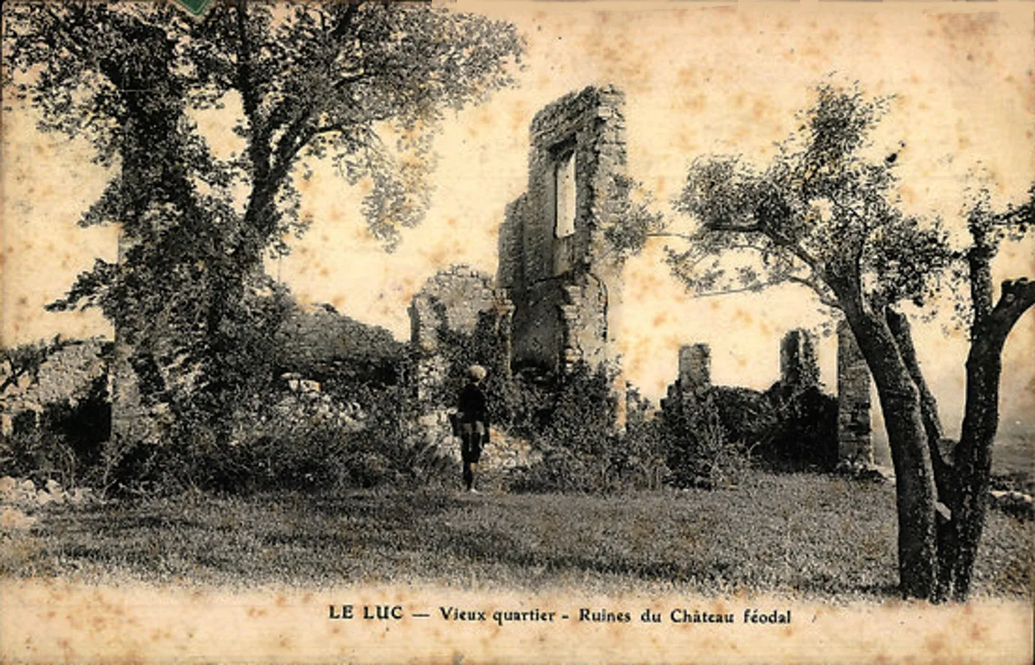 Photo showing: Ruines du château féodal