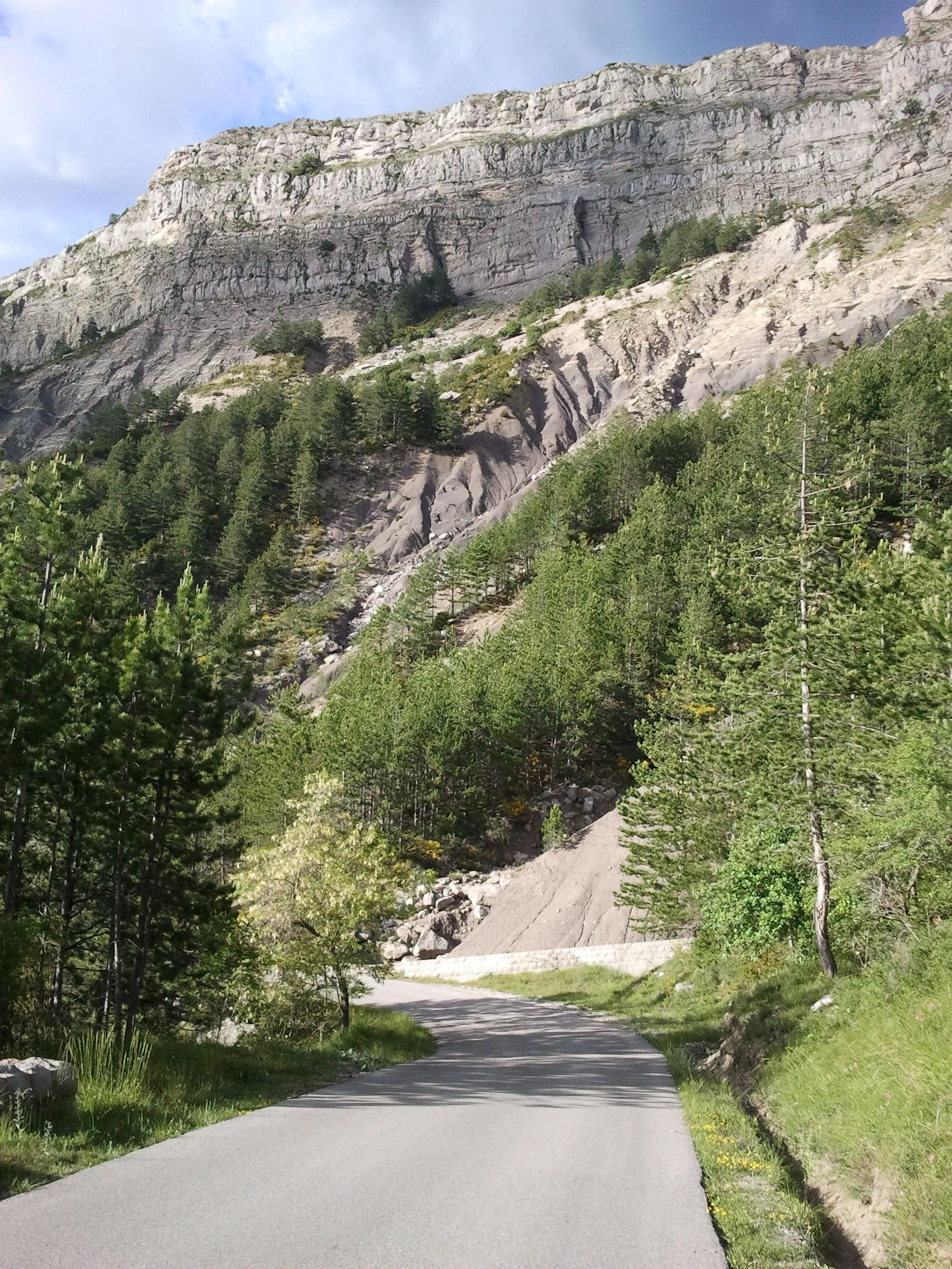 Photo showing: Route menant au sommet du col de Corobin