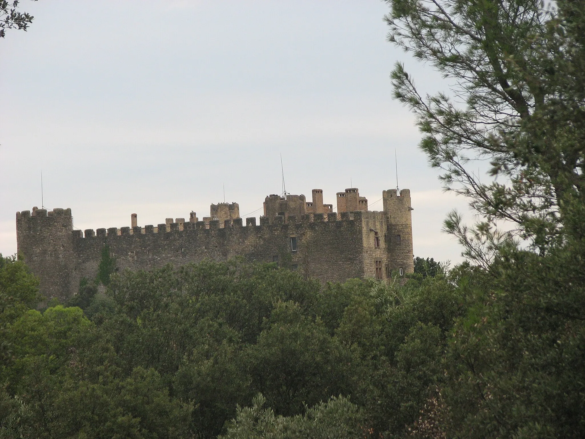 Photo showing: Castle in Montfaucon, Gard, France