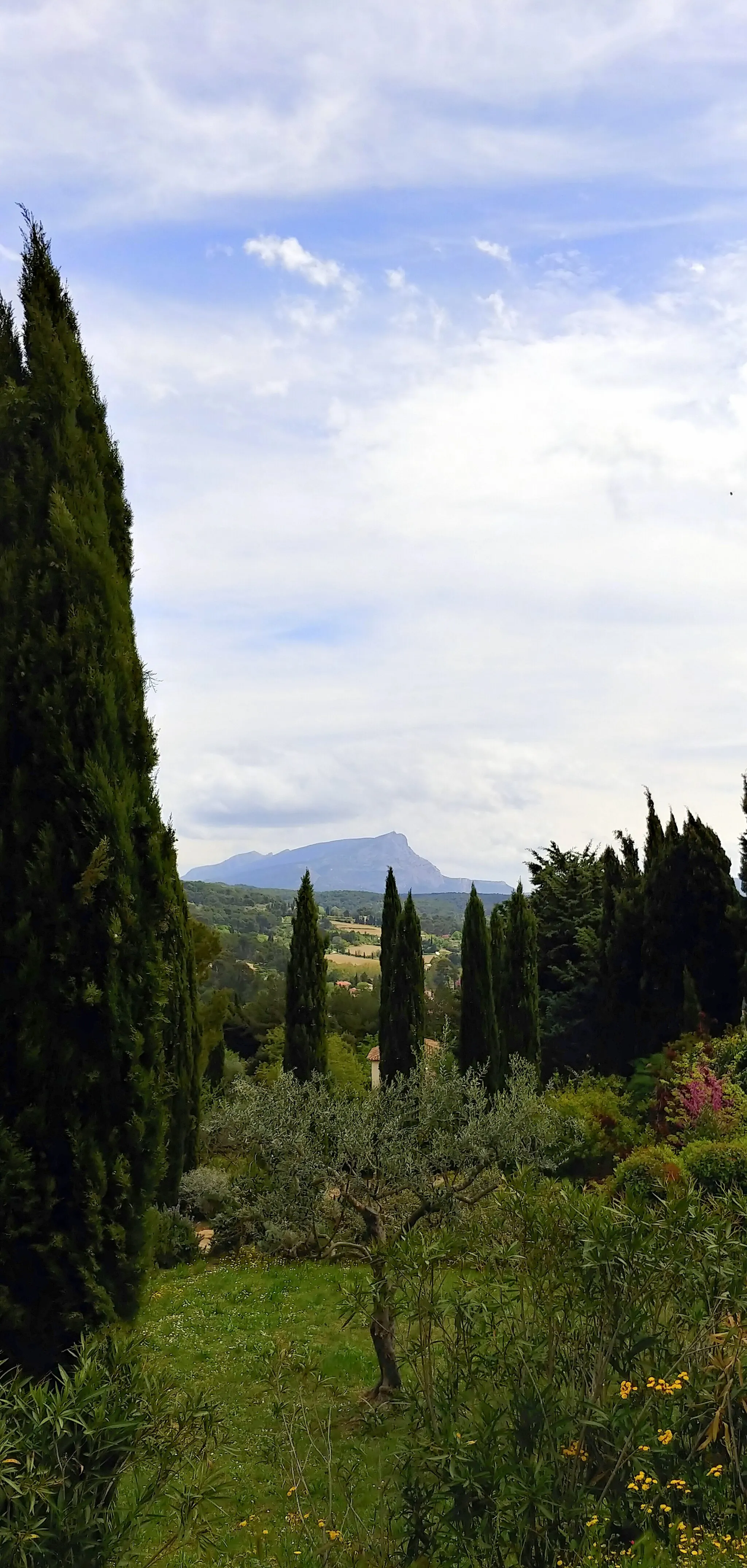 Photo showing: On top of Colline des Lauves, near Cézanne workshop, where he painted the Sainte-Victoire.