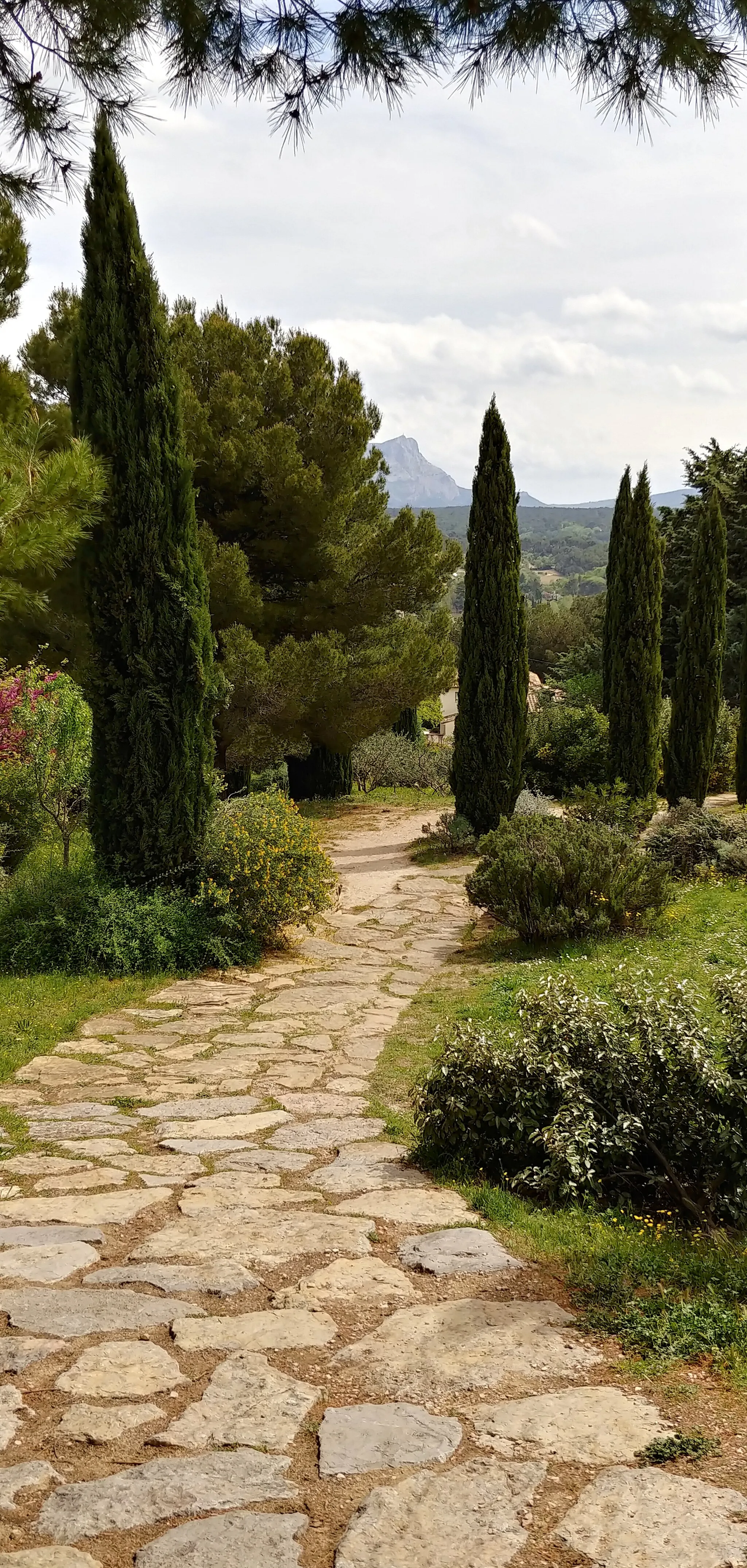 Photo showing: On top of Colline des Lauves, near Cézanne workshop, where he painted the Sainte-Victoire.