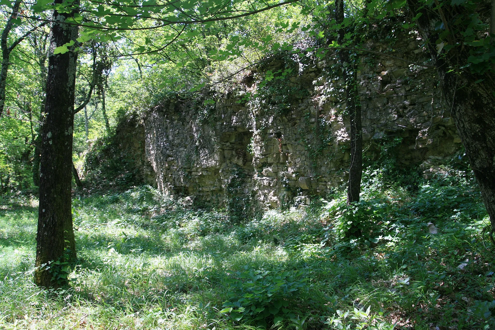 Photo showing: Ruines de l'Abbaye de Prébayon dans le massif des Dentelles