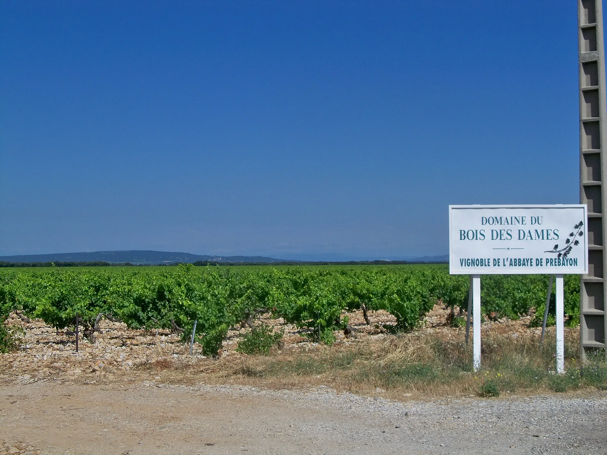 Photo showing: Vignoble de l'Abbaye de Prébayon, Plan de Dieu AOC, Vaucluse