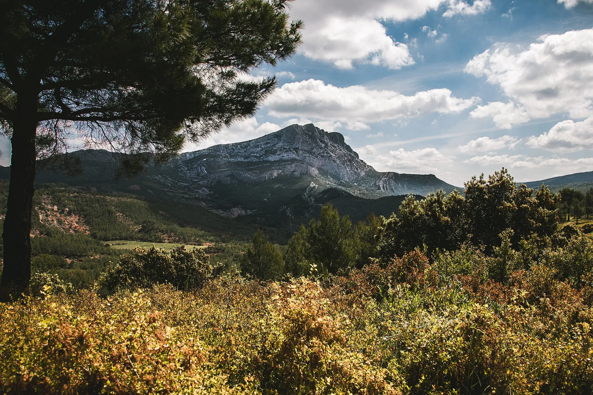 Photo showing: Nom du site : Montagne Sainte-Victoire (Réserve naturelle nationale de Sainte-Victoire)
Coordonnées de géolocalisation : 43° 32′ 21″ N, 5° 38′ 43″ E

La photo a été prise le 21.05.2019