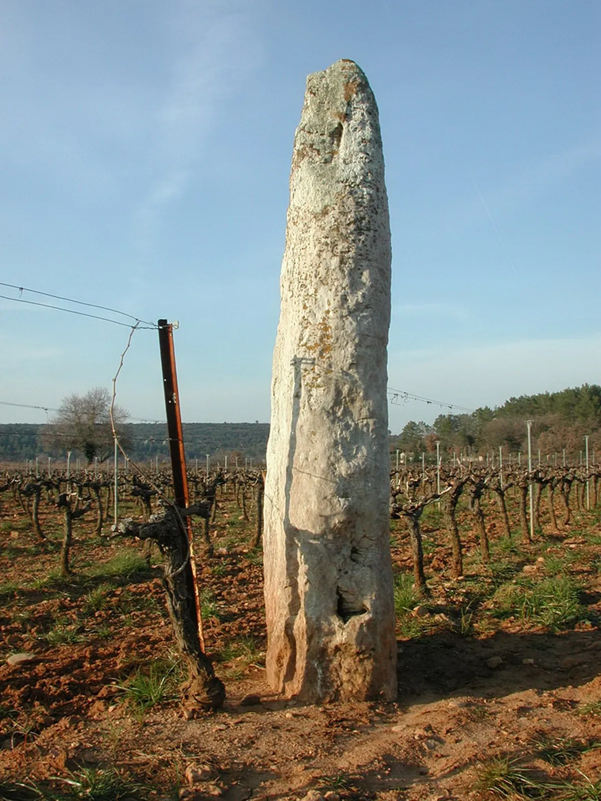 Photo showing: Menhir de Champduy