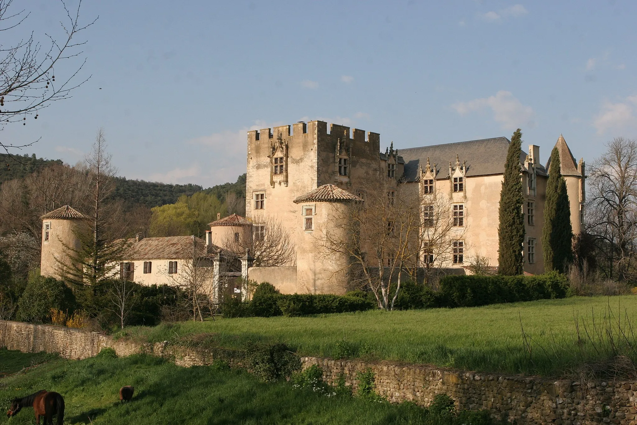 Photo showing: Castle of Allemagne-en-Provence