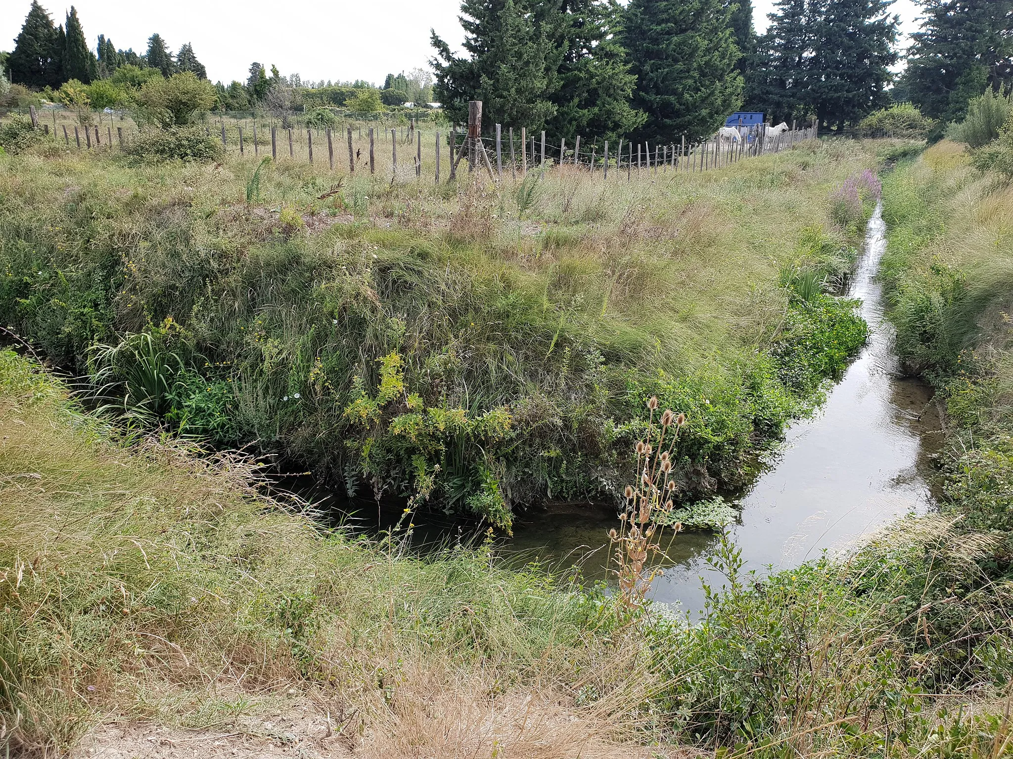 Photo showing: Le Fossé des Lônes au nord du village, tracé orthogonal qui en signe l'artificialité