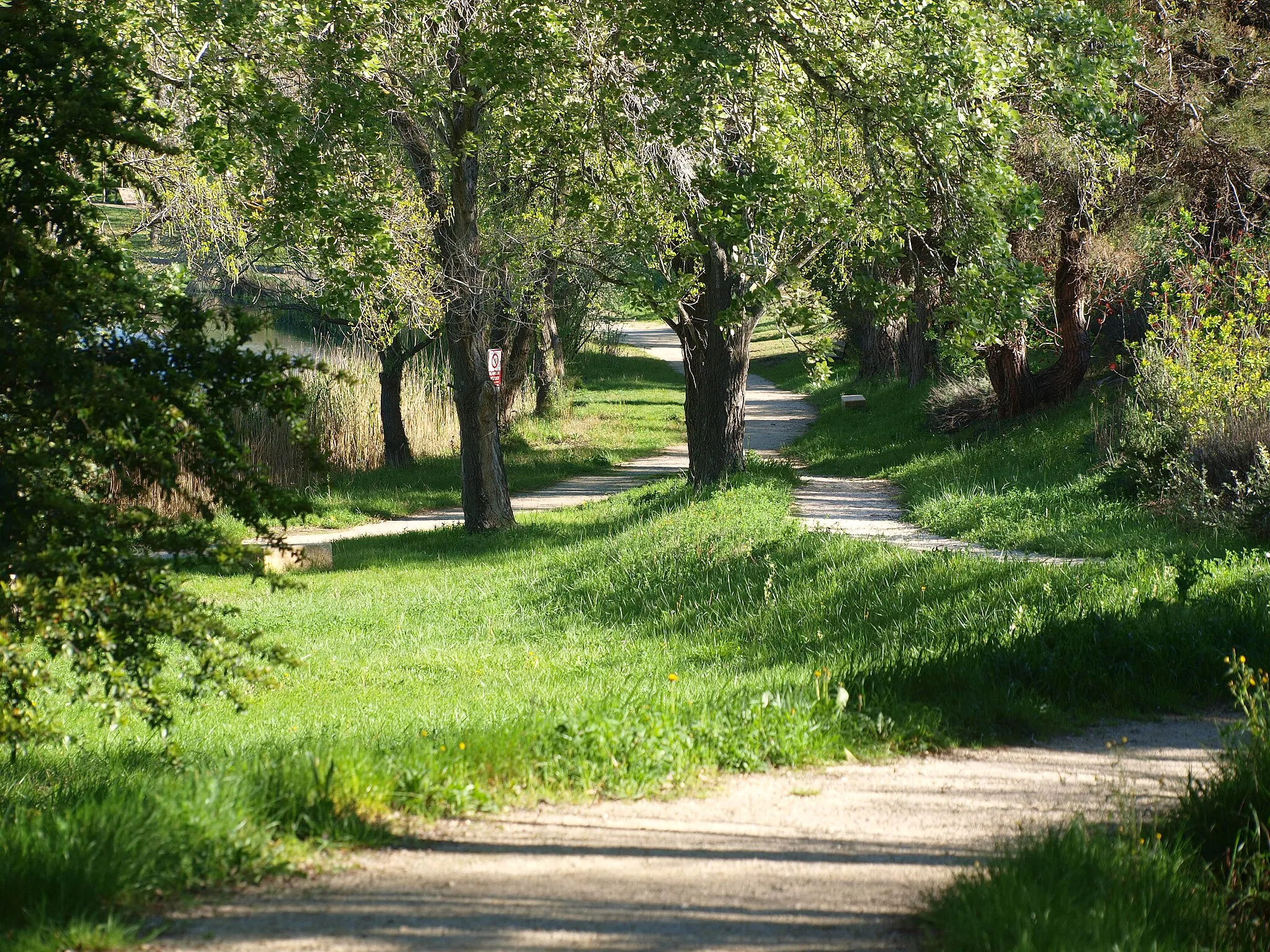 Photo showing: Along the lake of Vallabrègues