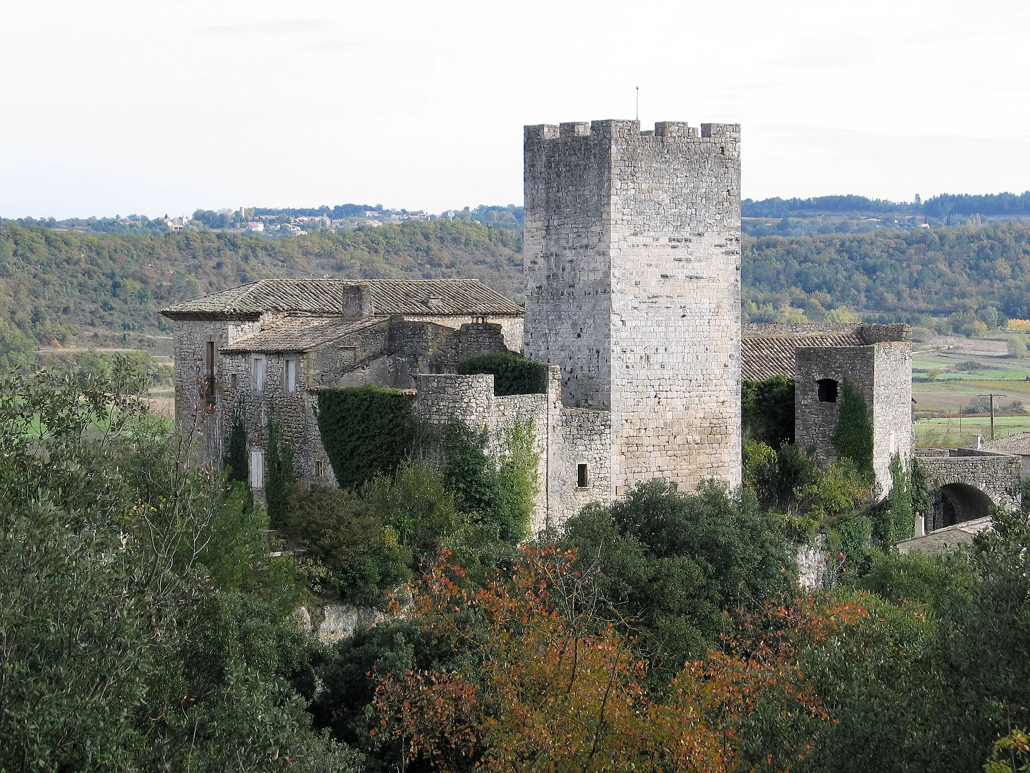 Photo showing: Château de Verfeuil (30)