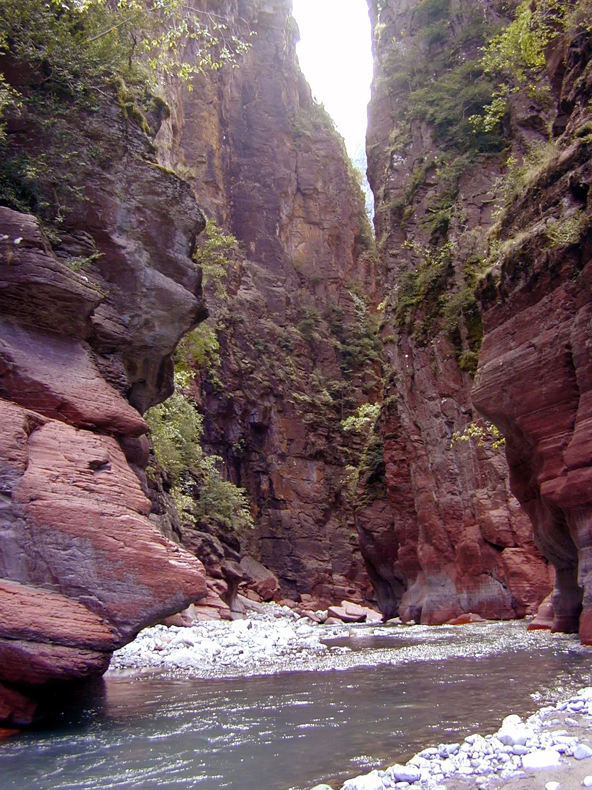 Photo showing: Daluis (06), Daluis canyon, Var river