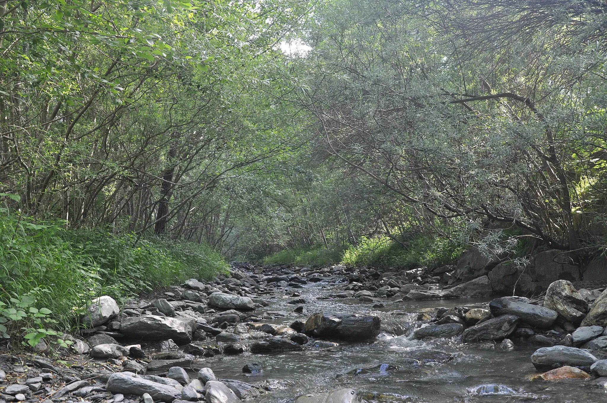 Photo showing: Rivière de Saint-André