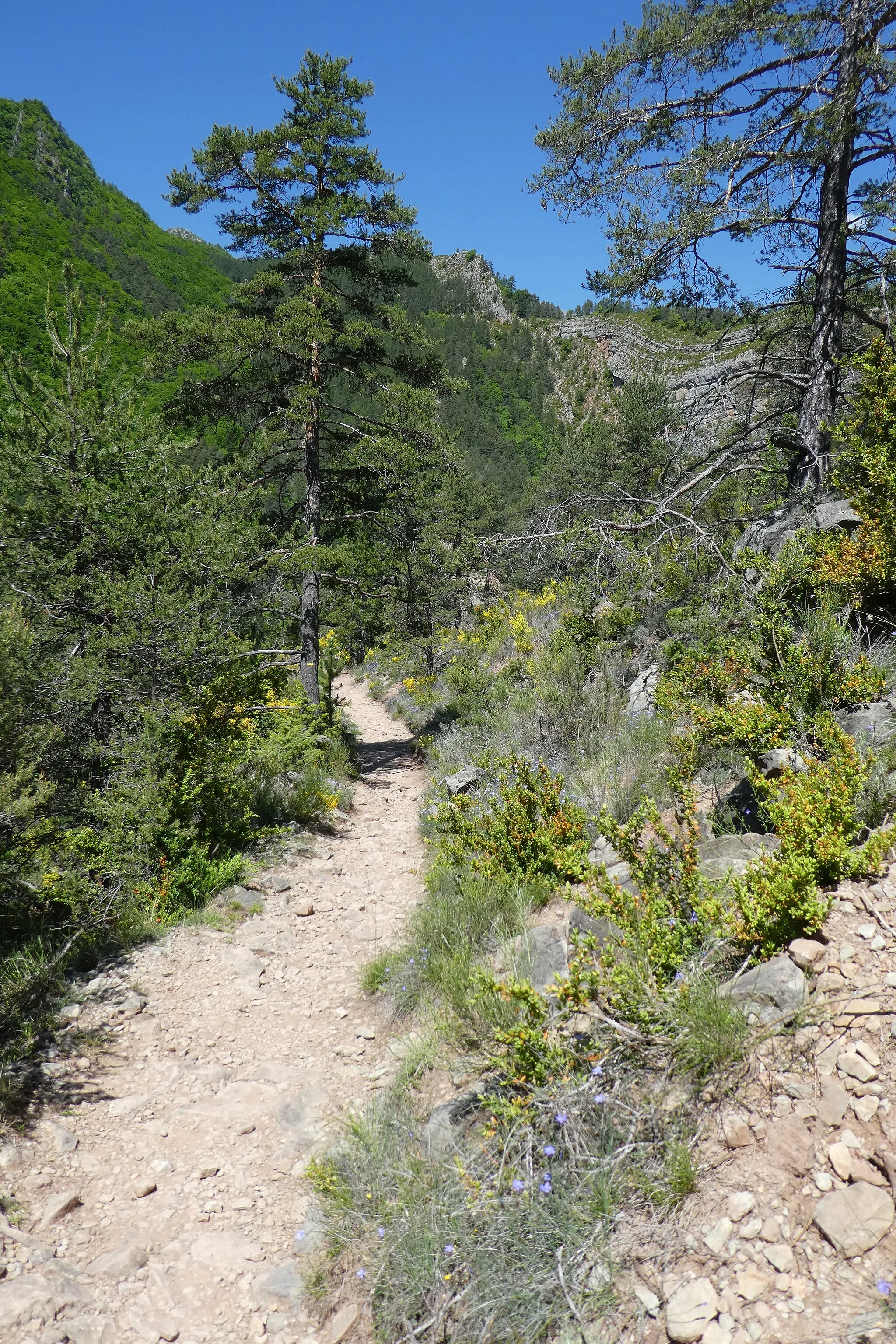 Photo showing: Refuge d'Art du Vieil-Esclangon.