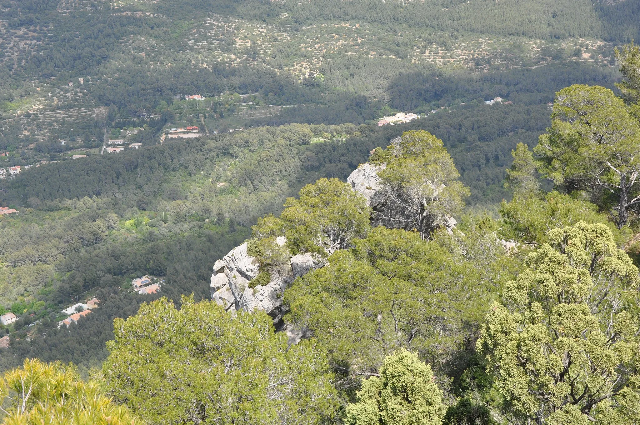 Photo showing: Mont - Faron