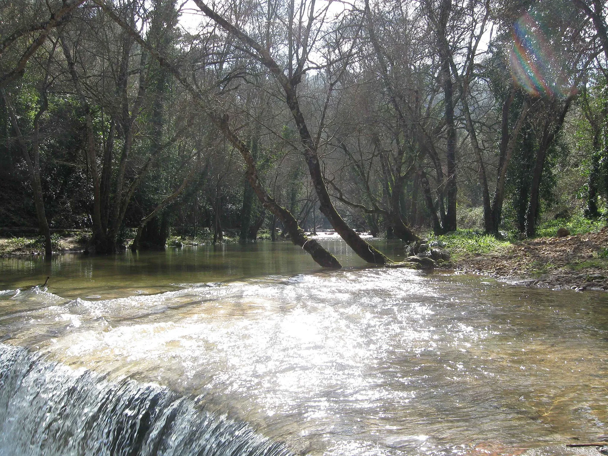 Photo showing: the photo is taken at the river side of Brague