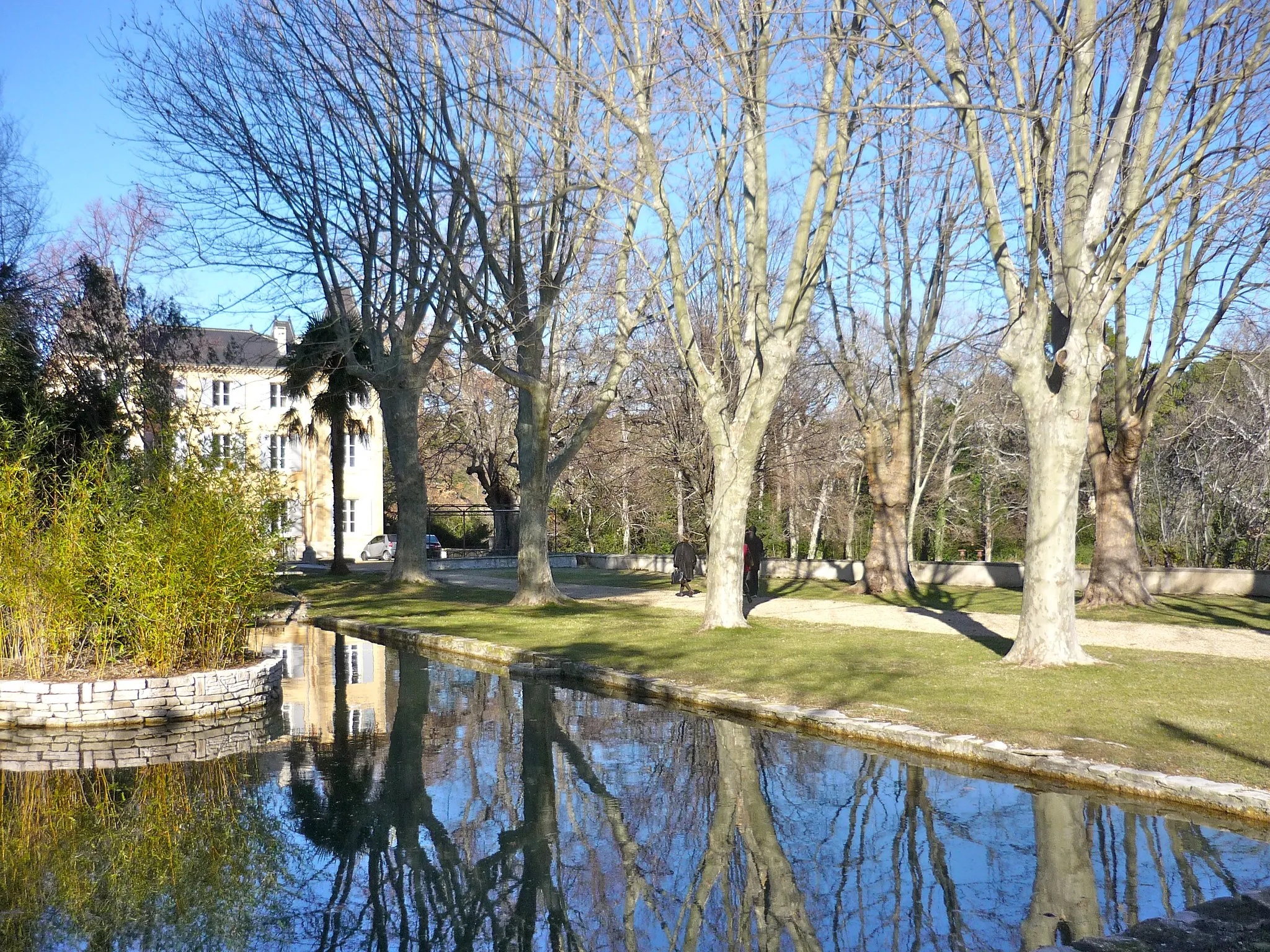 Photo showing: Parc du château de La Brillanne
