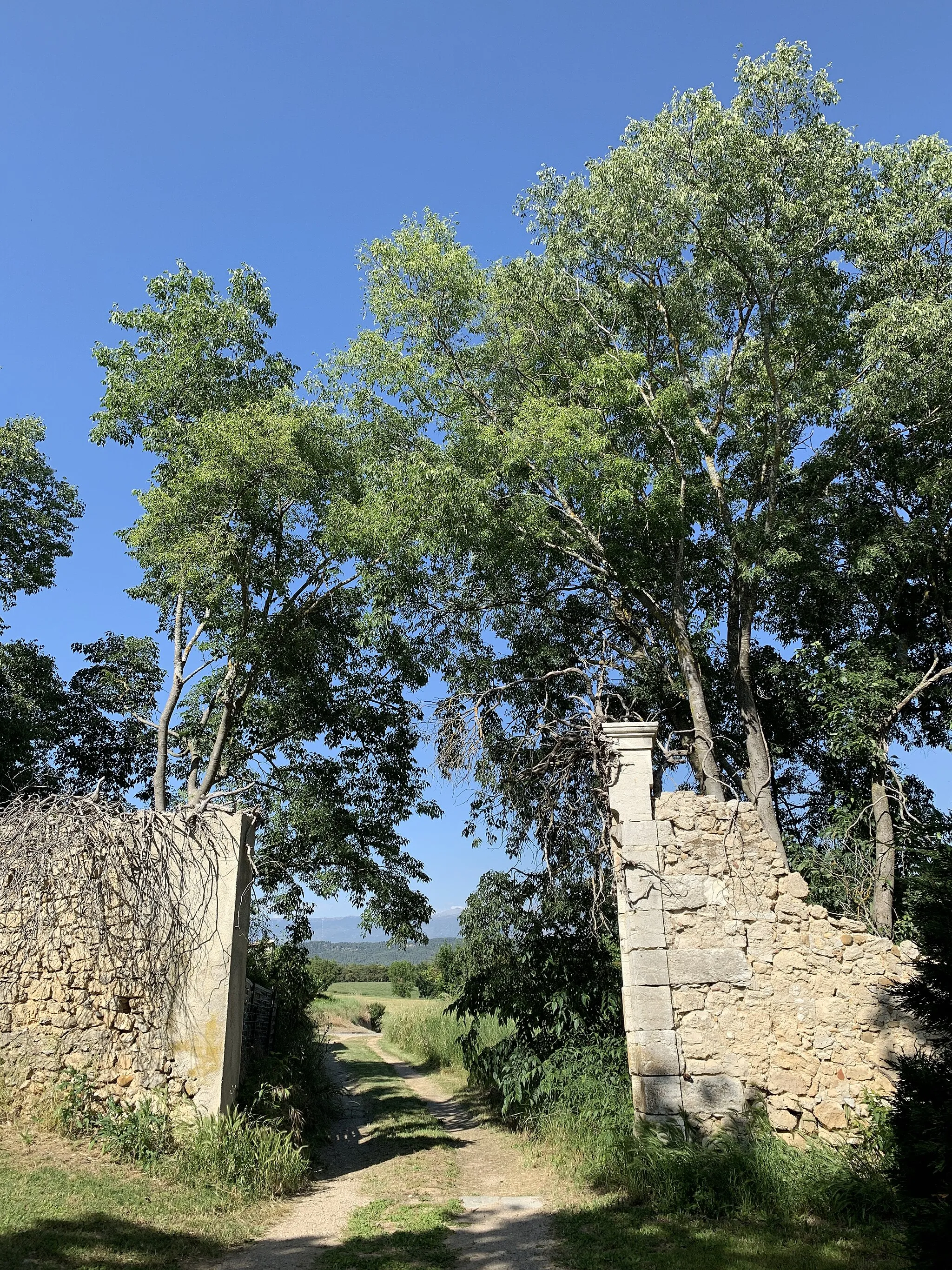 Photo showing: Ruines du mur d'enceinte du Château de Saint-Laurent-Du-Verdon