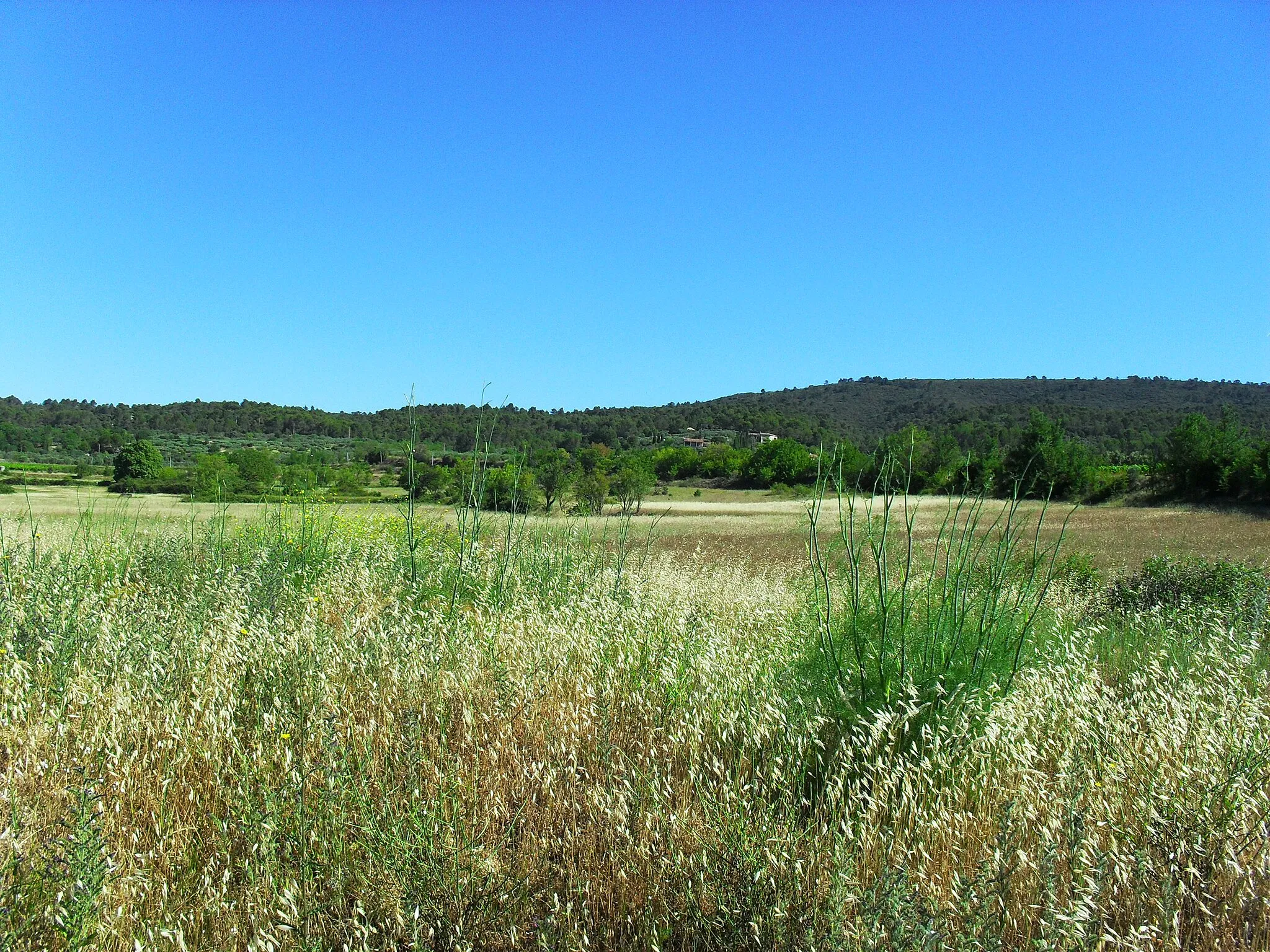 Photo showing: Paysage du Moyen-Var vu depuis Tavernes (Var).