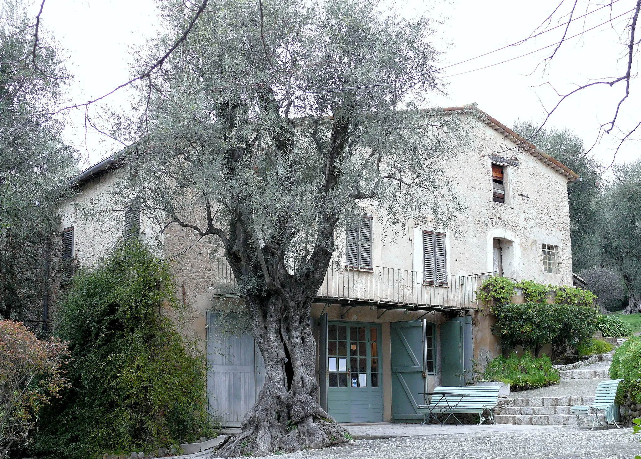 Photo showing: Cagnes-sur-Mer - Domaine des Collettes (Renoir) - L'ancienne ferme du domaine