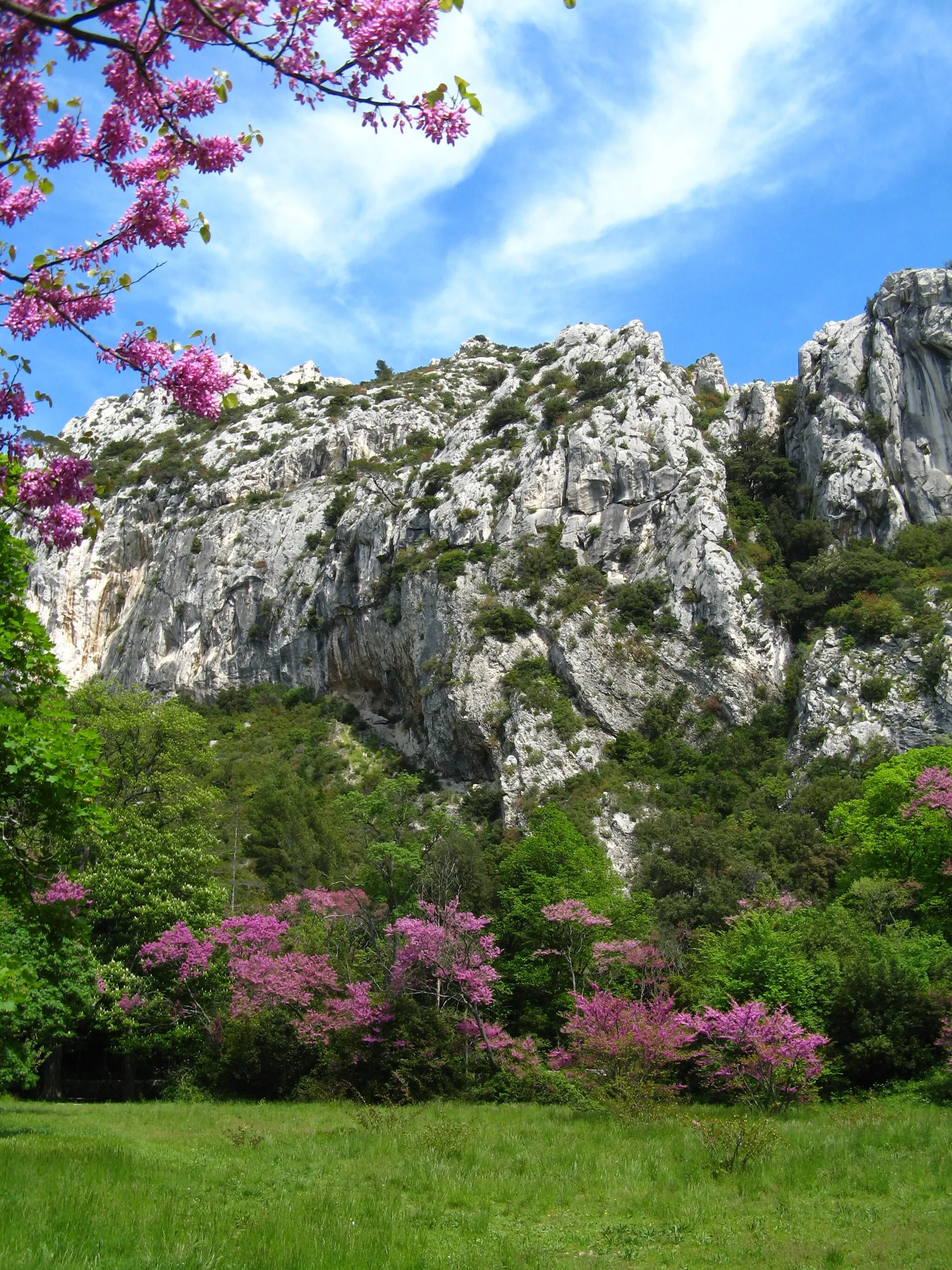 Photo showing: Parc départemental de Saint-Pons (Gémenos, Bouches-du-Rhône)