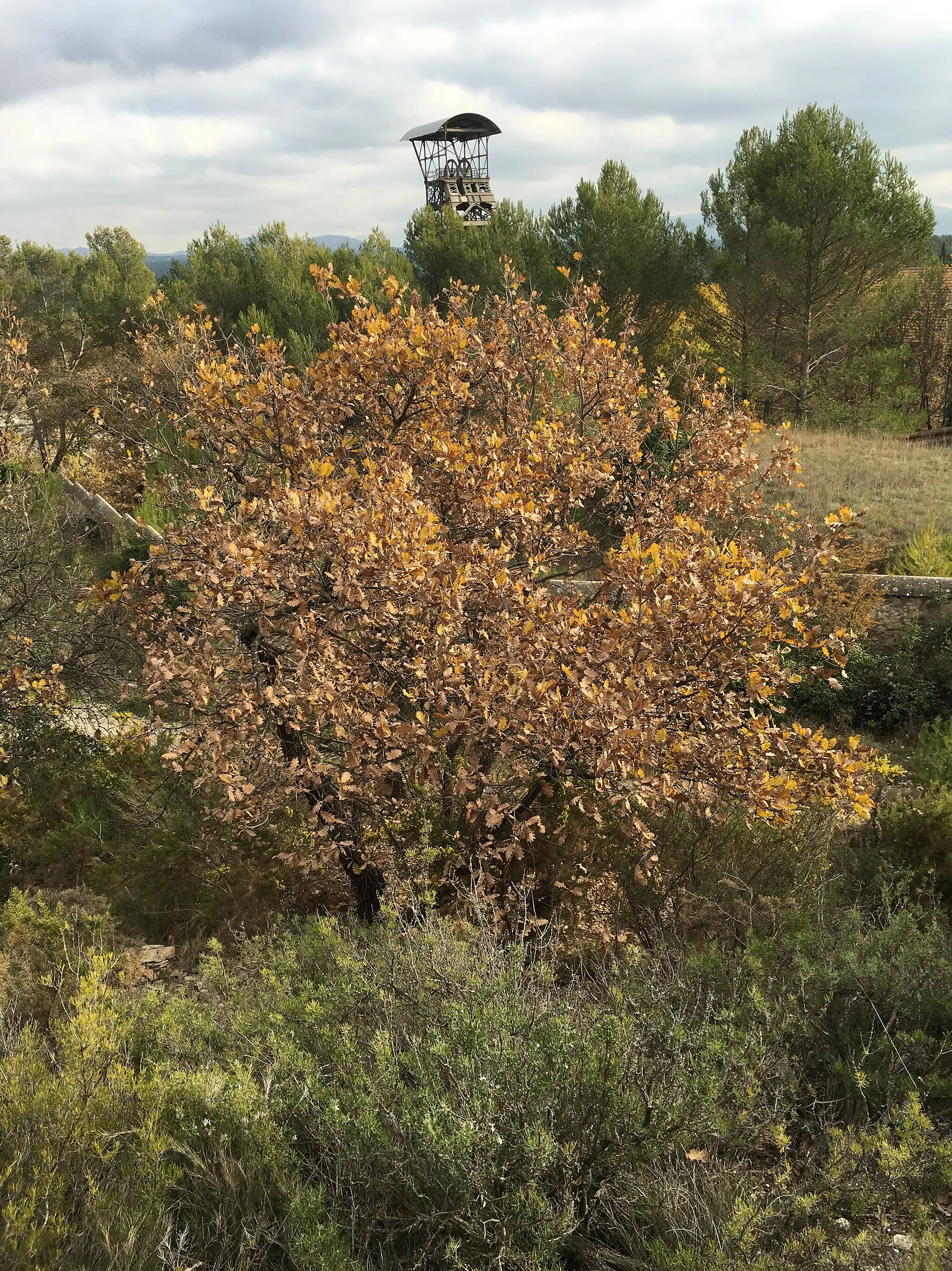 Photo showing: Greasque, haut du chevalement du puits Hély d'Oissel