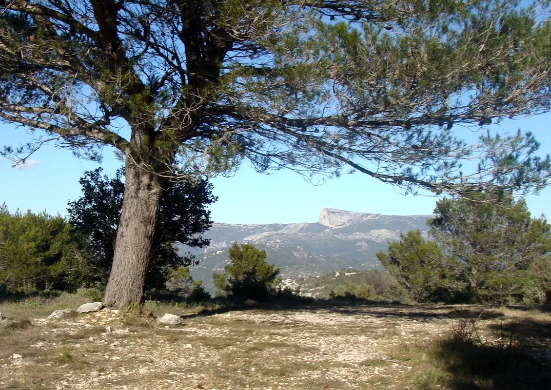 Photo showing: La vue vers la Sainte-Baume, depuis le plateau du Cabanon du Marquis