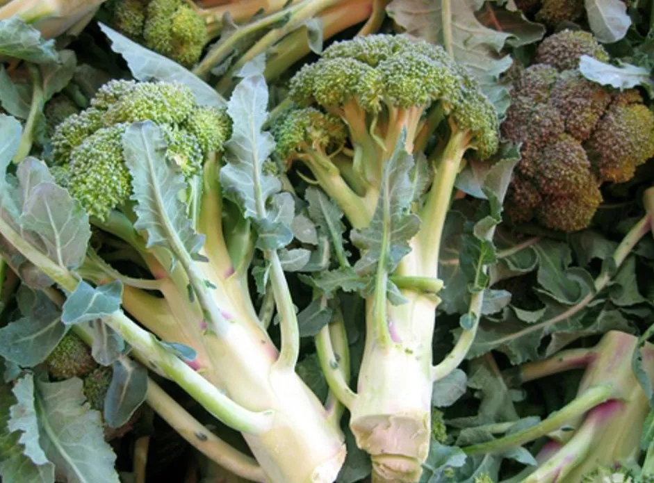 Photo showing: Brocolis au marché de Valréas