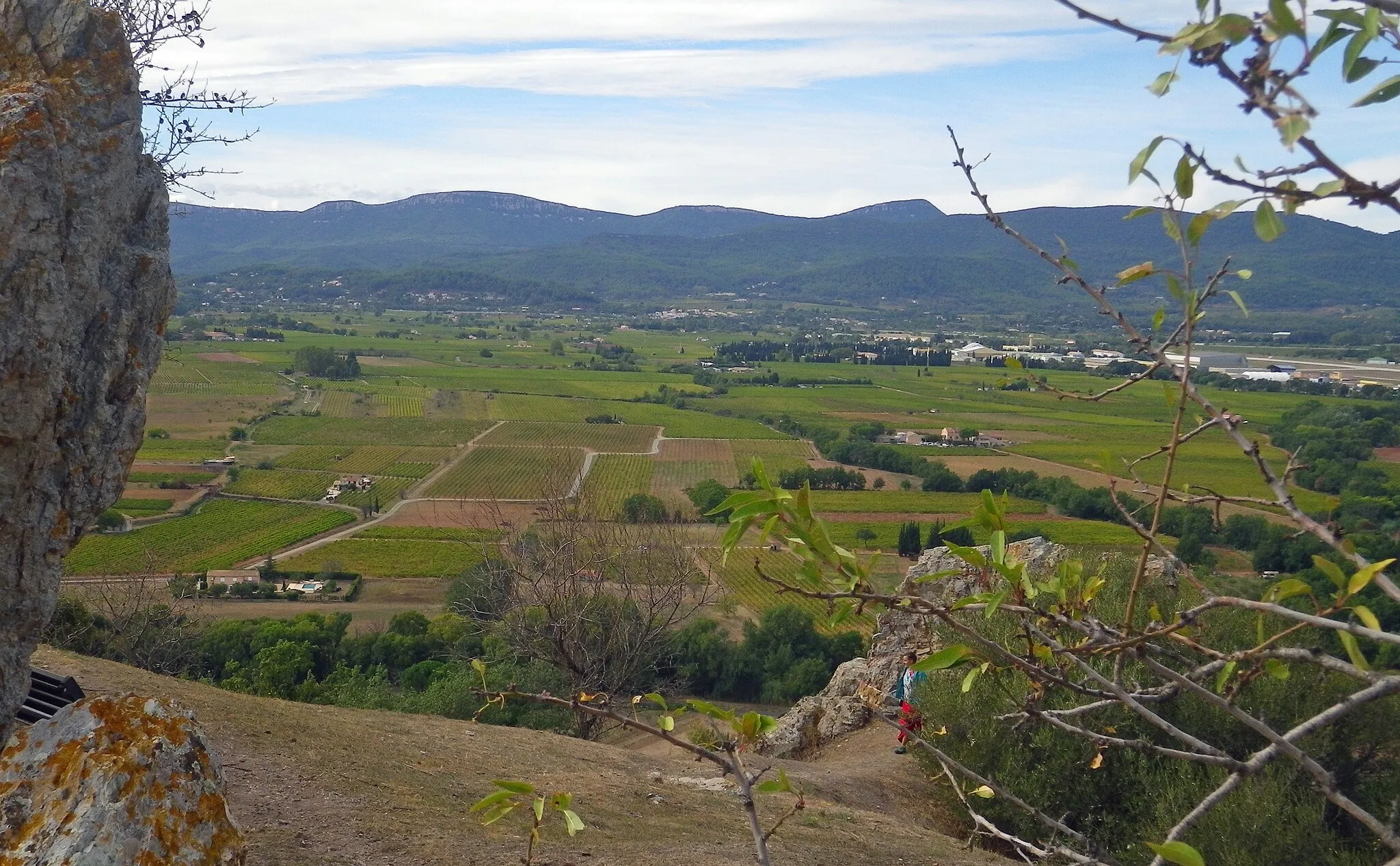 Photo showing: Côtes de Provence wine area between Cuers and Pierrefeu-du-Var (France), seen from chapel hill in Pierrefeu