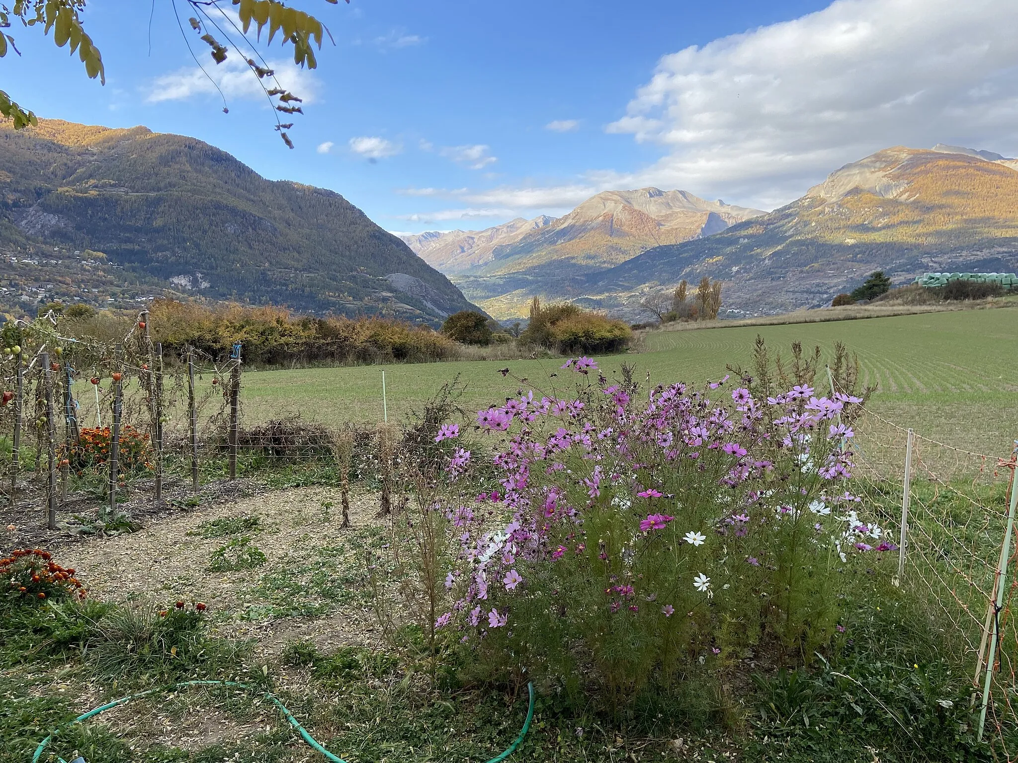 Photo showing: Le massif des Ecrins (Tête de Clotinaille et Tête de Fouran) vu depuis le plateau de la Chalp à Guillestre