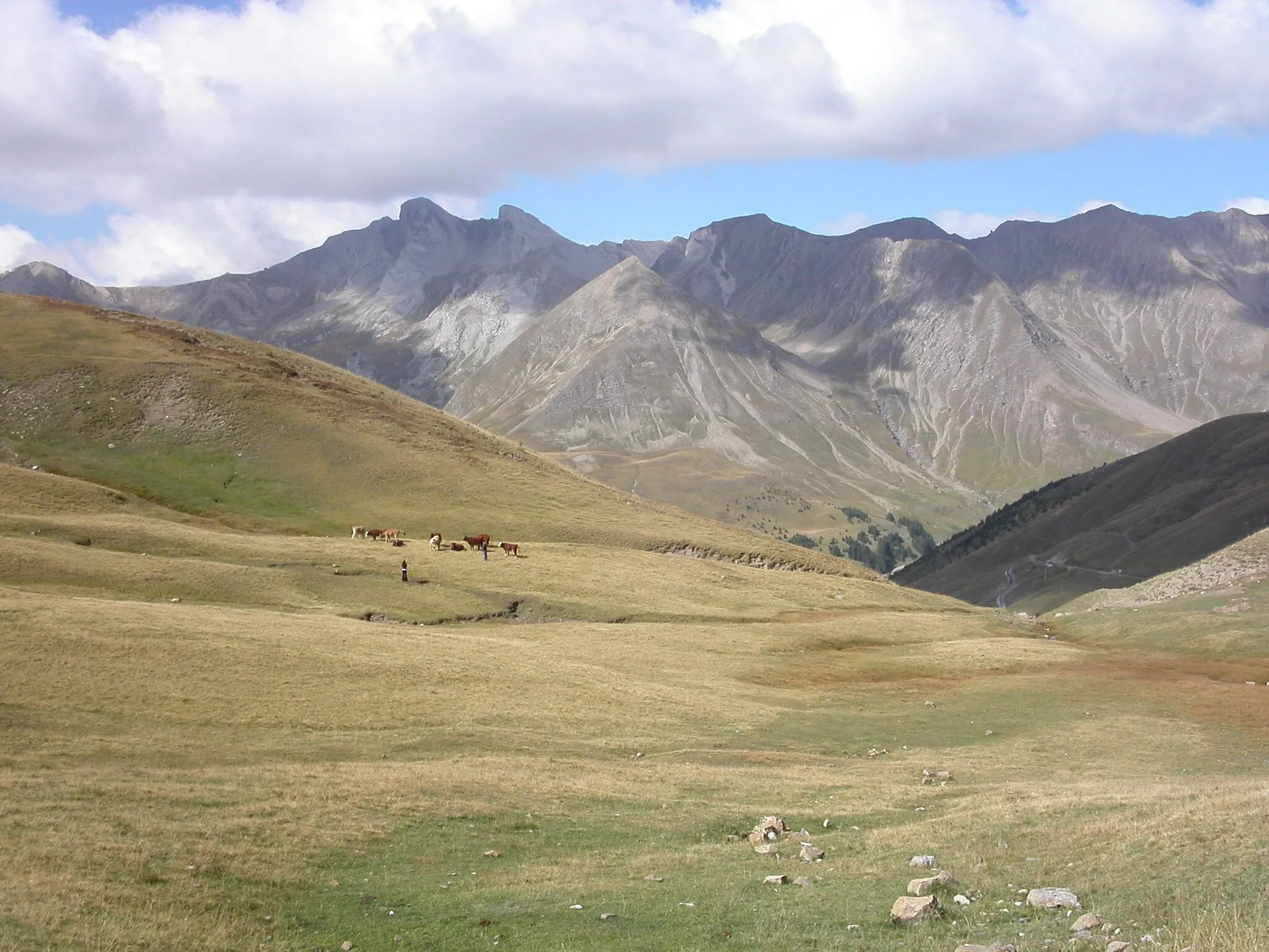 Photo showing: Col d'Allos, view