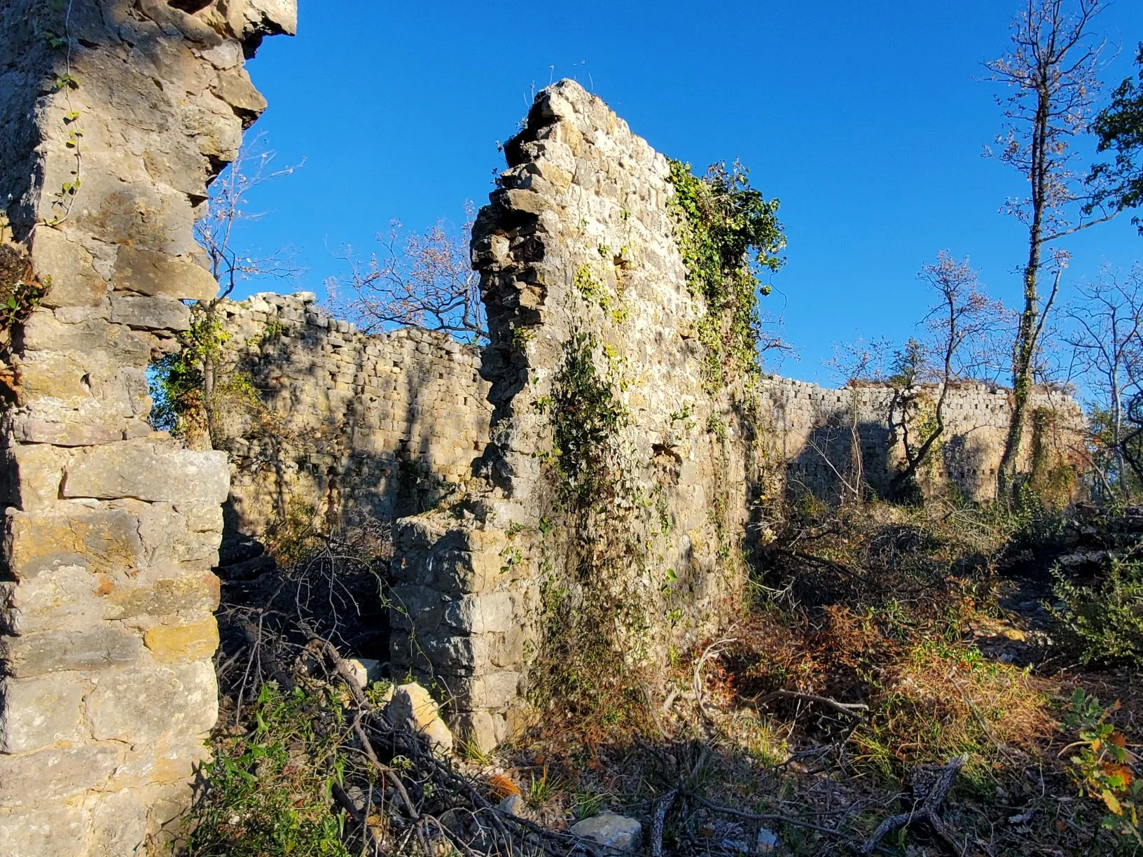 Photo showing: Vue du mur d'enceinte des ruines du village fortifié de Puybresson-Velnasque.