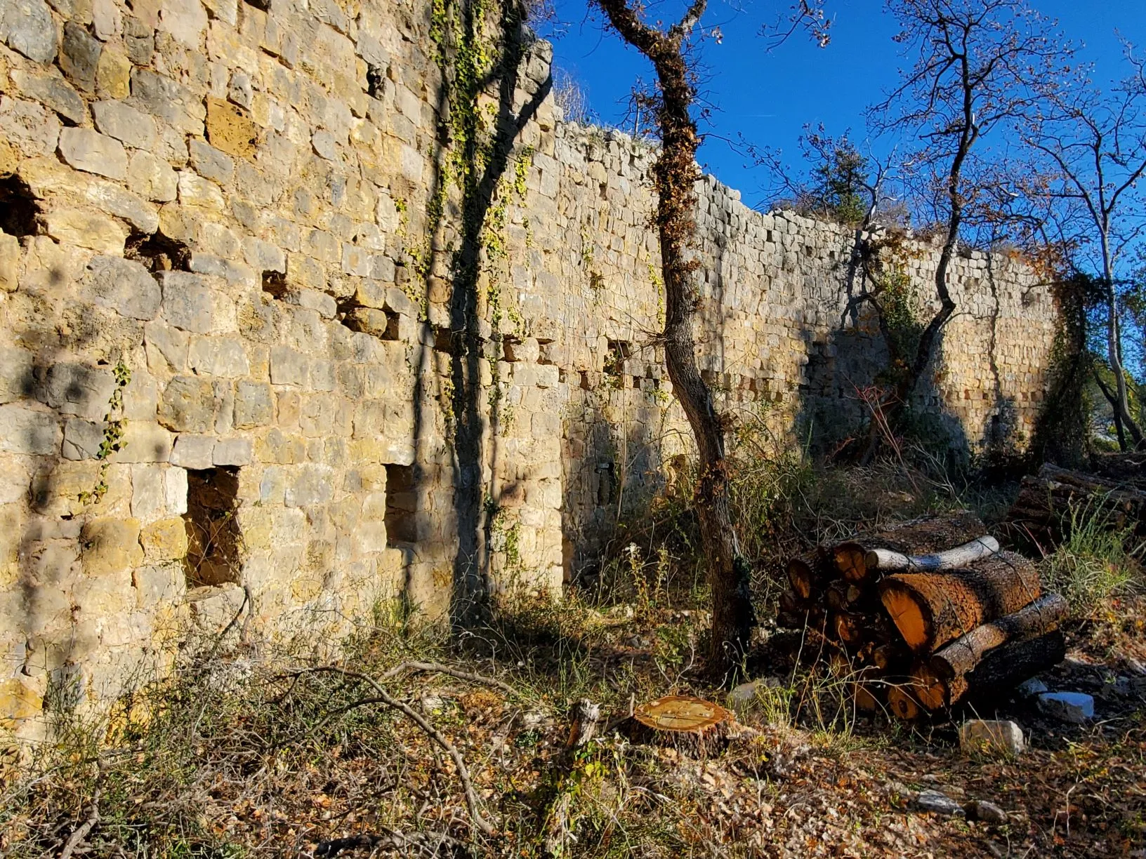 Photo showing: Le mur d'enceinte des ruines du village fortifié de Puybresson-Velnasque