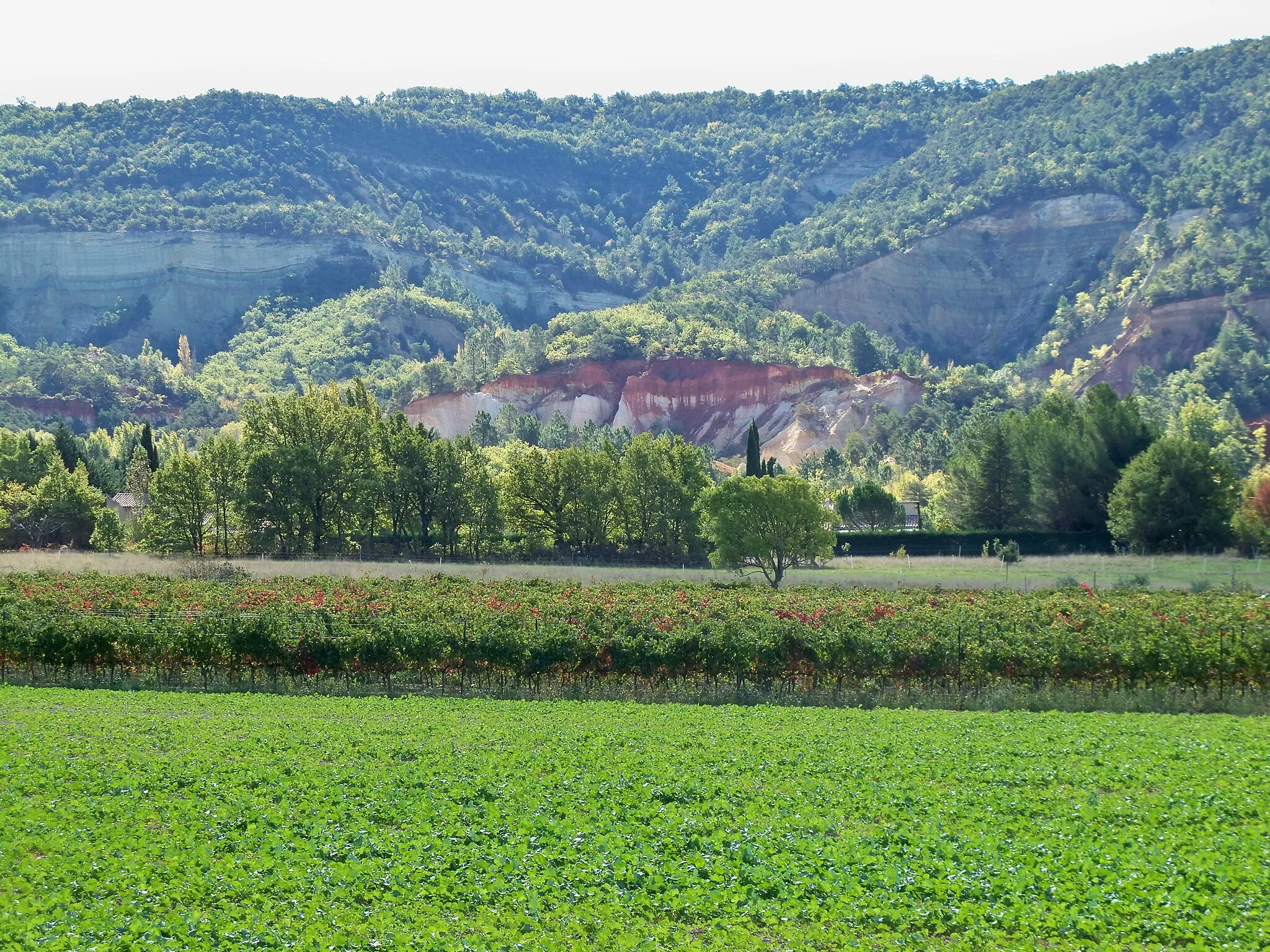 Photo showing: Ocres et vignes à Rustrel, Vaucluse, France