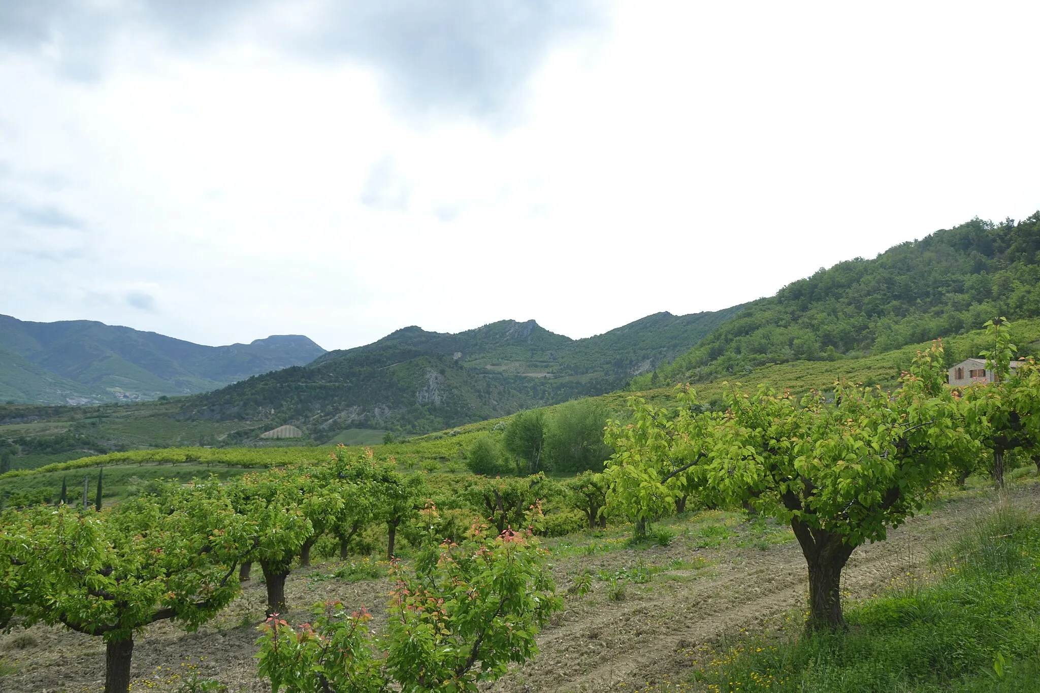 Photo showing: Rocher des mieyes, à l'est de Bésignan