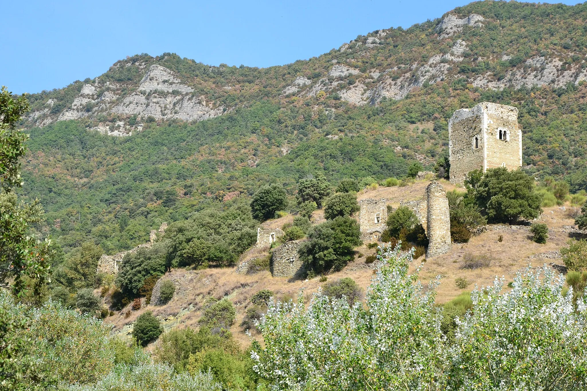 Photo showing: la Tour d'Alençon à Roche-Saint-Secret-Béconne