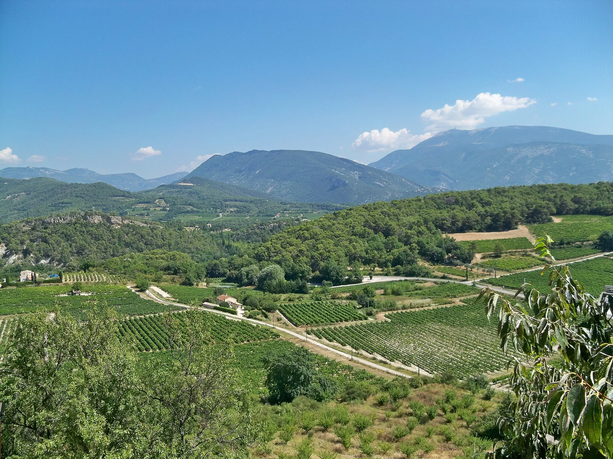 Photo showing: Vignoble à Faucon, au pied des Baronnies et du Mont Ventoux, Vaucluse, France