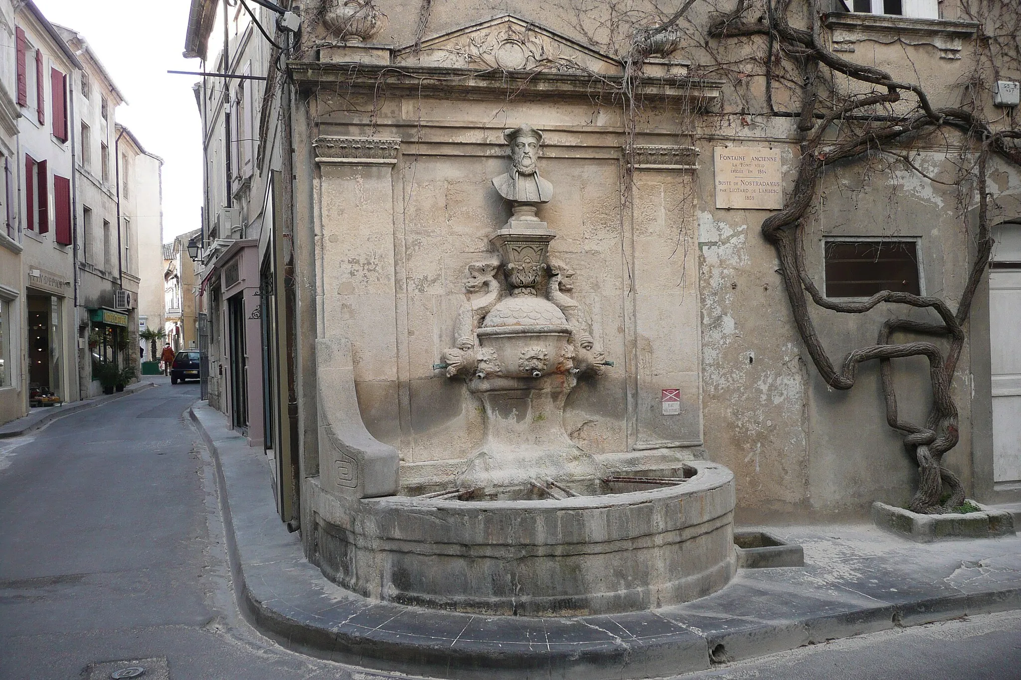 Photo showing: Fontaine Nostradamus à Saint Rémy de Provence.