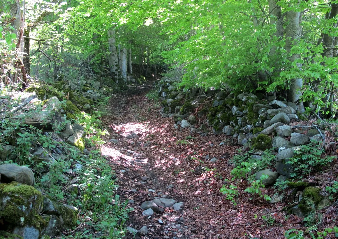 Photo showing: Chemin dit "voie romaine", descendant des hauteurs de Manse vers la vallée du Drac.
