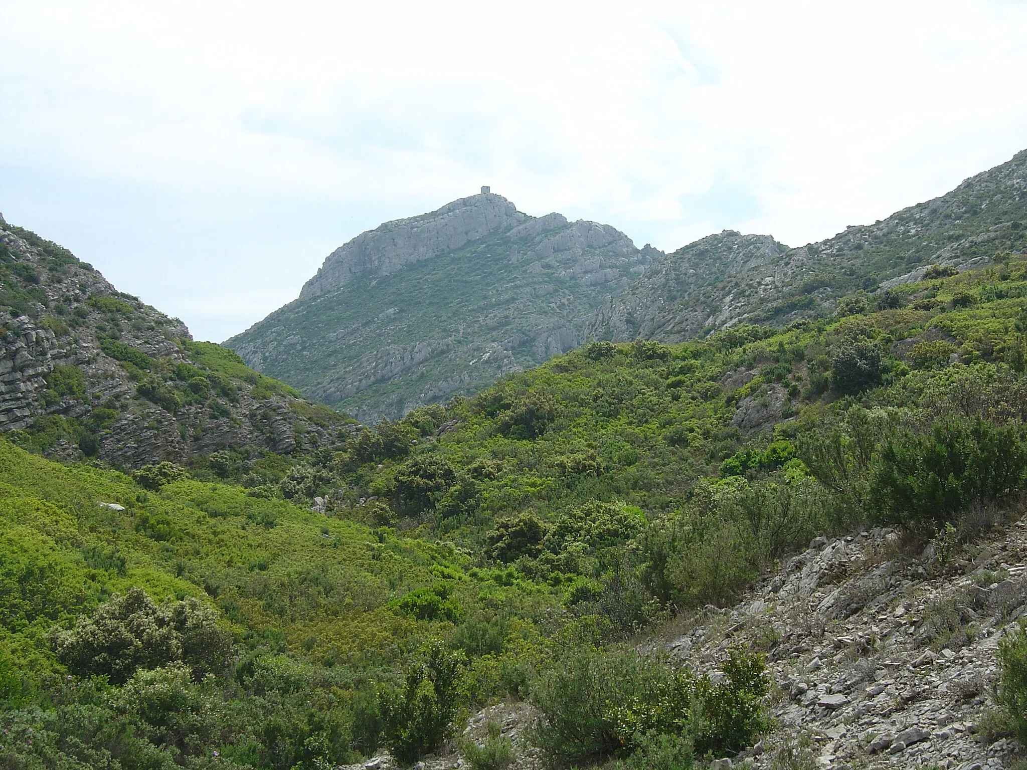 Photo showing: Plus haut le sommet des Opies (496m) vu depuis le sentier de l'ascension par le côté ouest