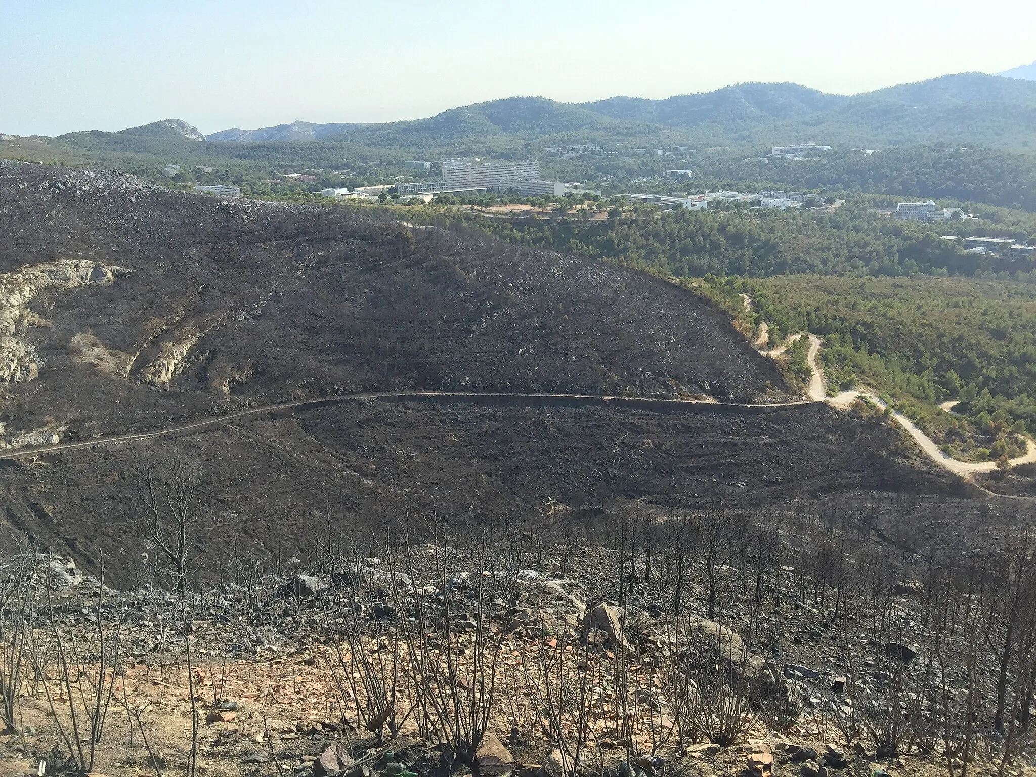 Photo showing: col de la gineste après l'incendie du 05-06 septembre 2016