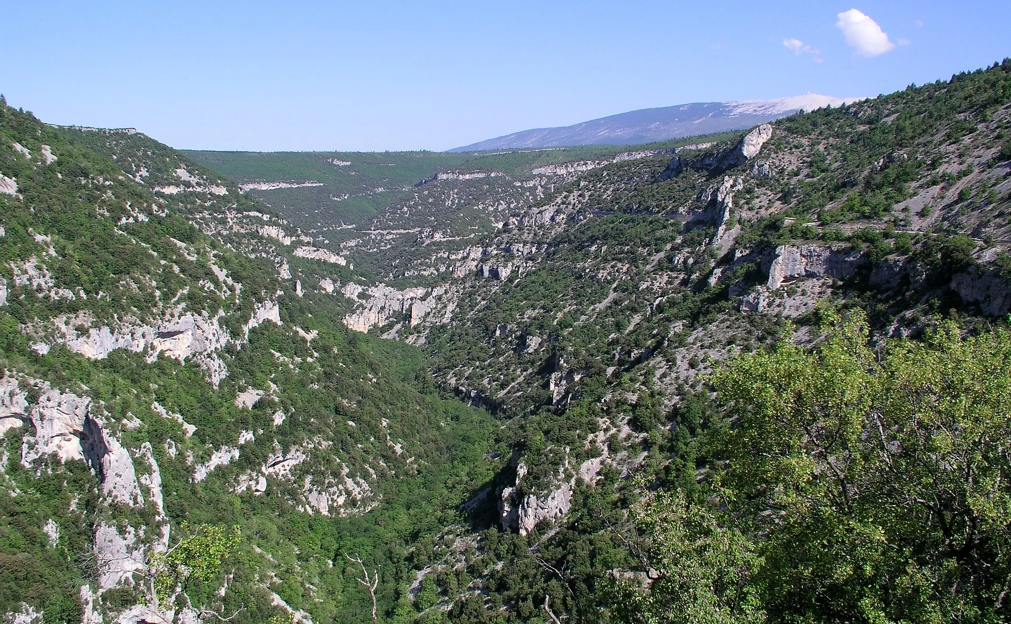 Photo showing: Les gorges de la Nesque et le mont Ventoux.