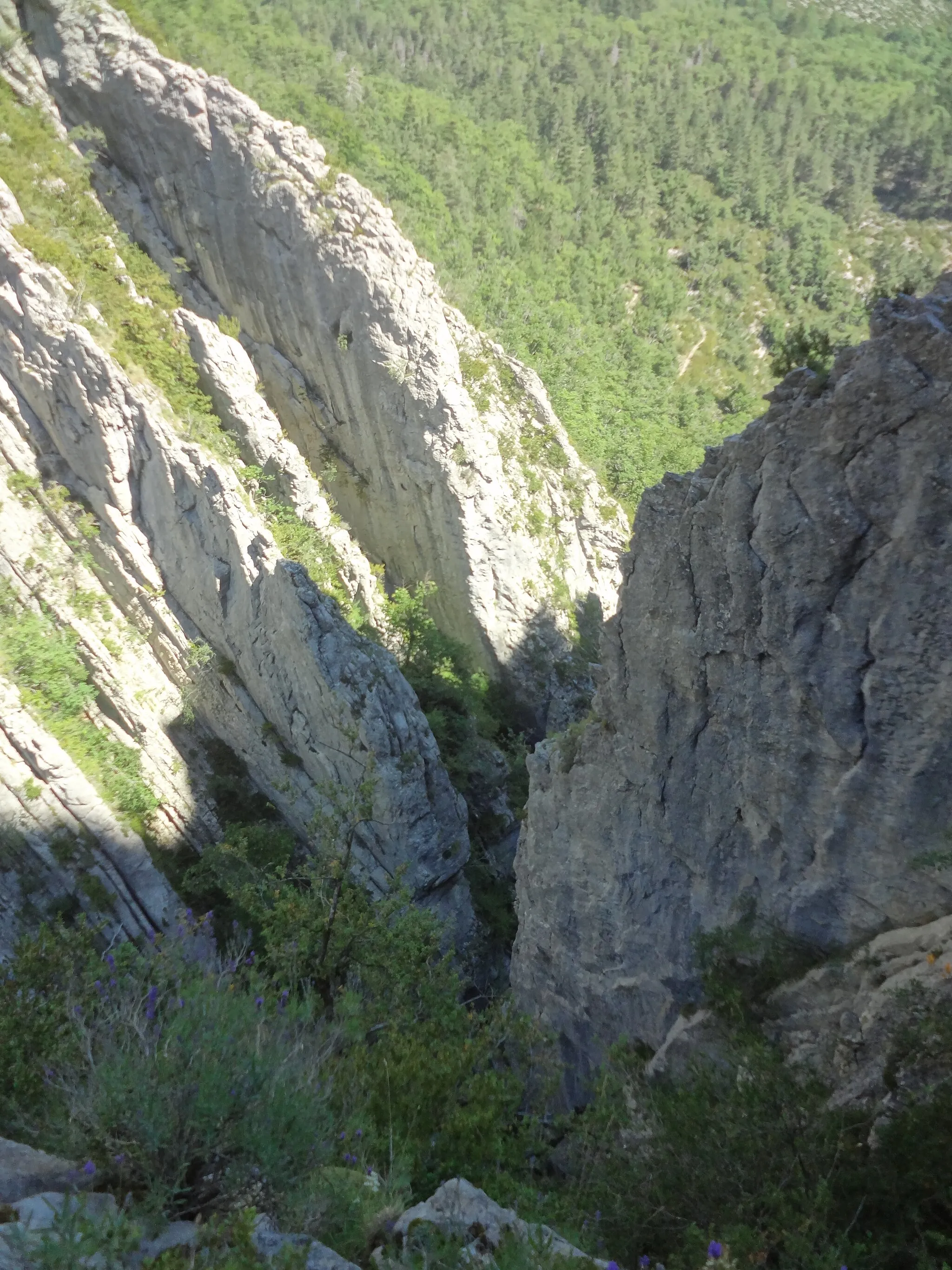 Photo showing: Téléchargée avec Commonist 0.9.1

Cluse de La Melle, entre Senez et Blieux (côté Blieux)