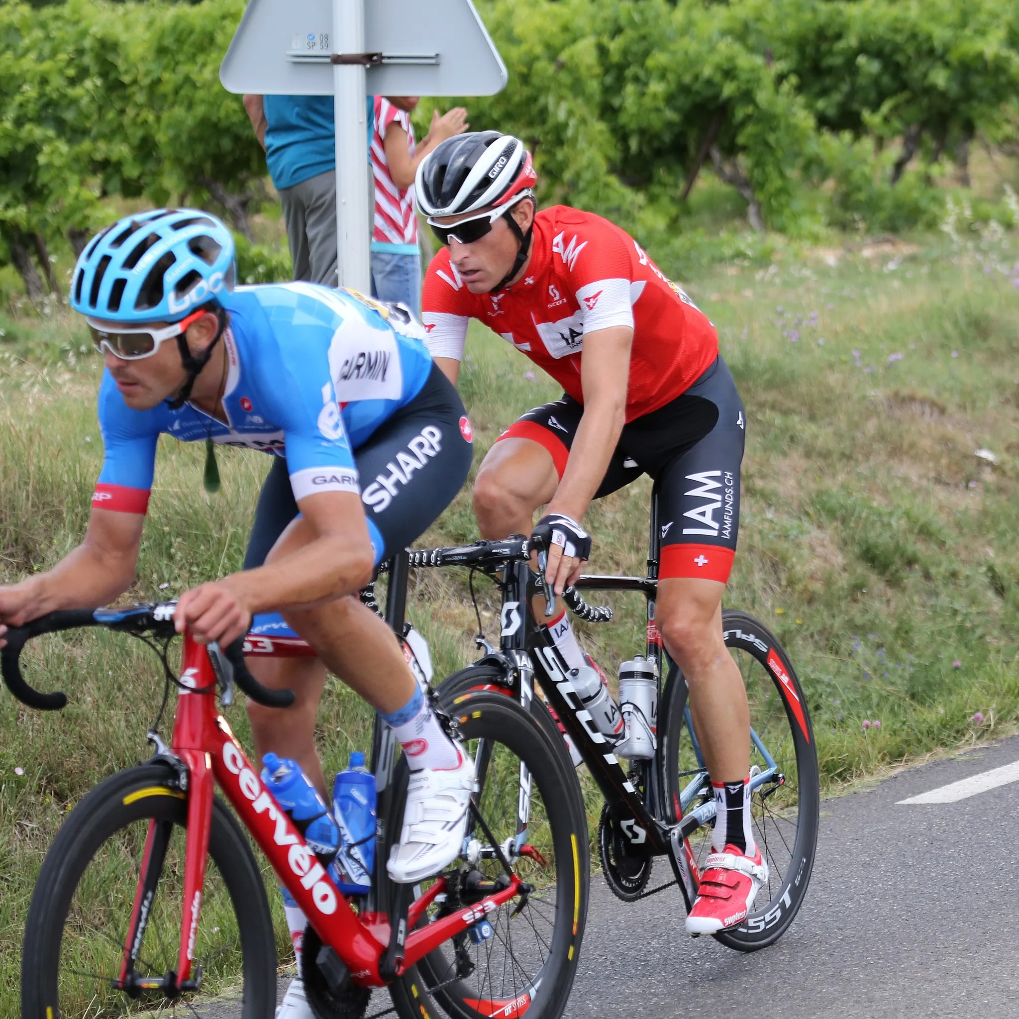 Photo showing: Das Fluchtduo mit Jack Bauer und Martin Elmiger auf der Route de Roussillon (D2) während der 15. Etappe der Tour de France 2014