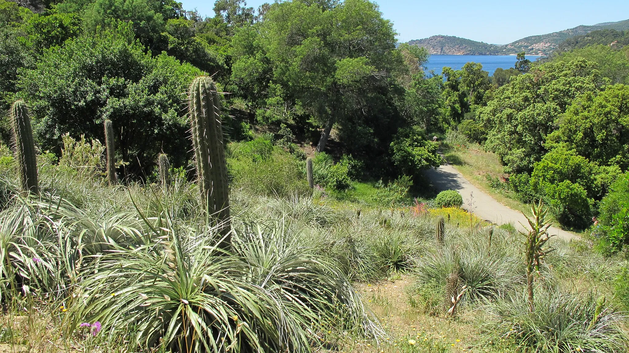 Photo showing: Chilean landscape